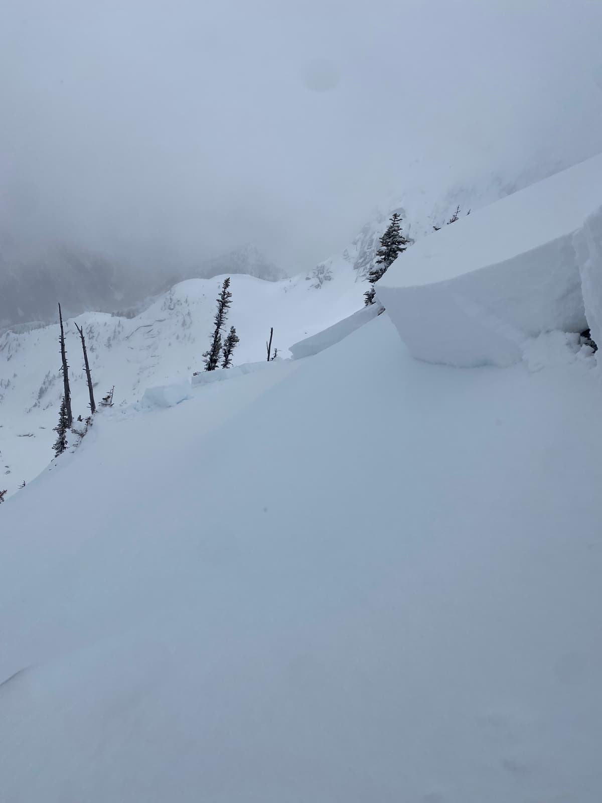 Crown of the avalanche