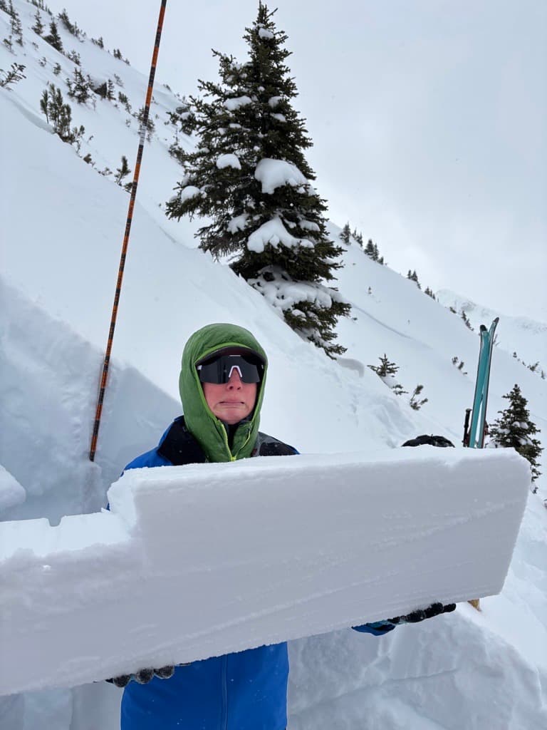 Our concerning column test result at treeline.