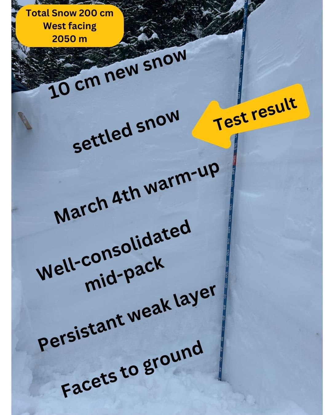 Profile - test result occurred within the settled storm snow that fell last weekend - Monday. Down 45 cm, resistant result.