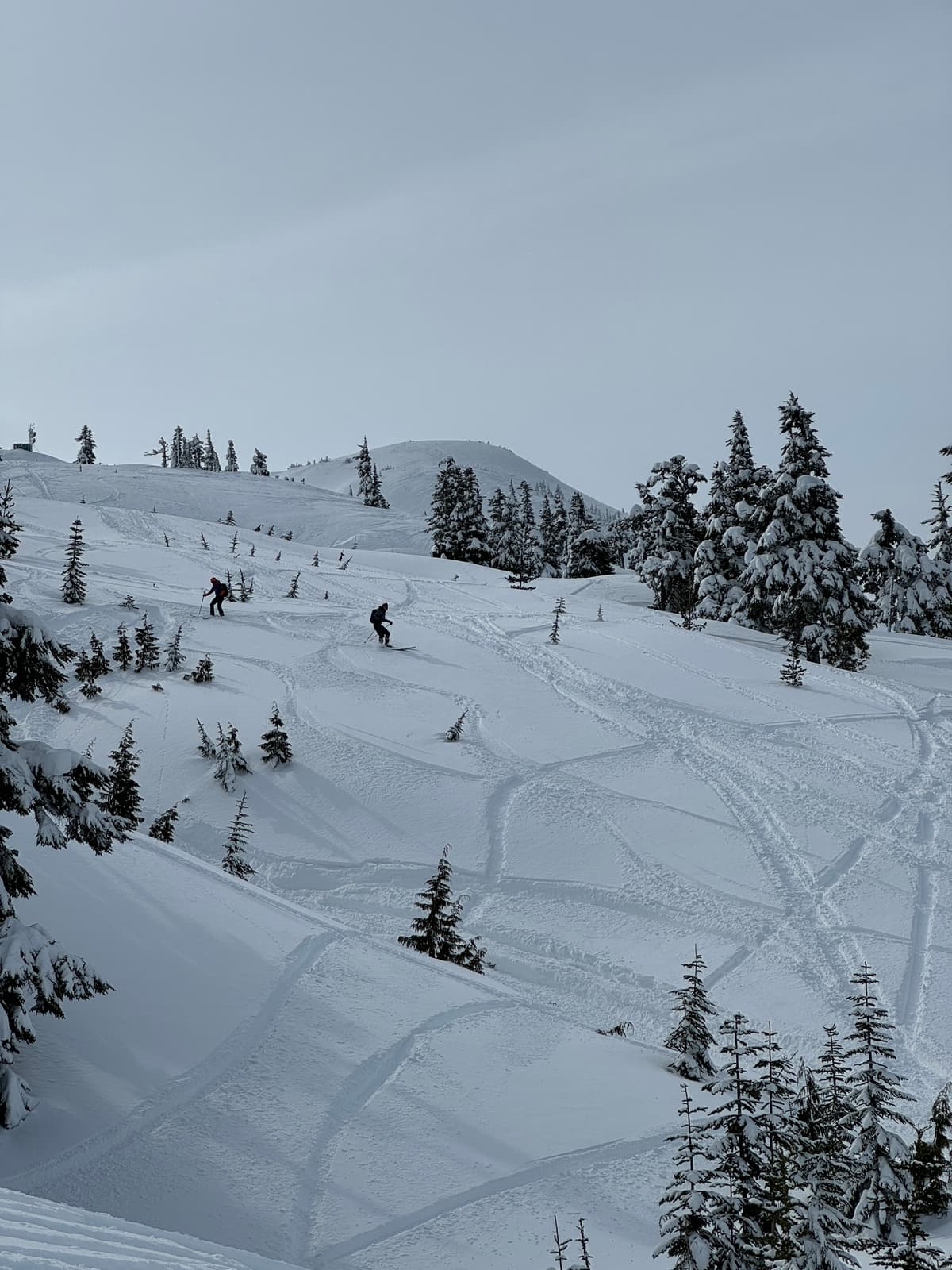 Lots of sled traffic