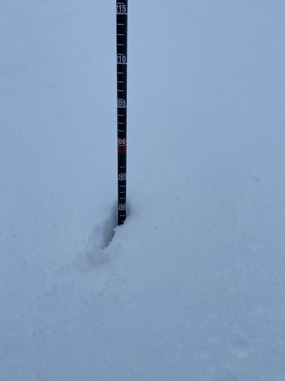 We’re almost there! 190cm in the CNP!