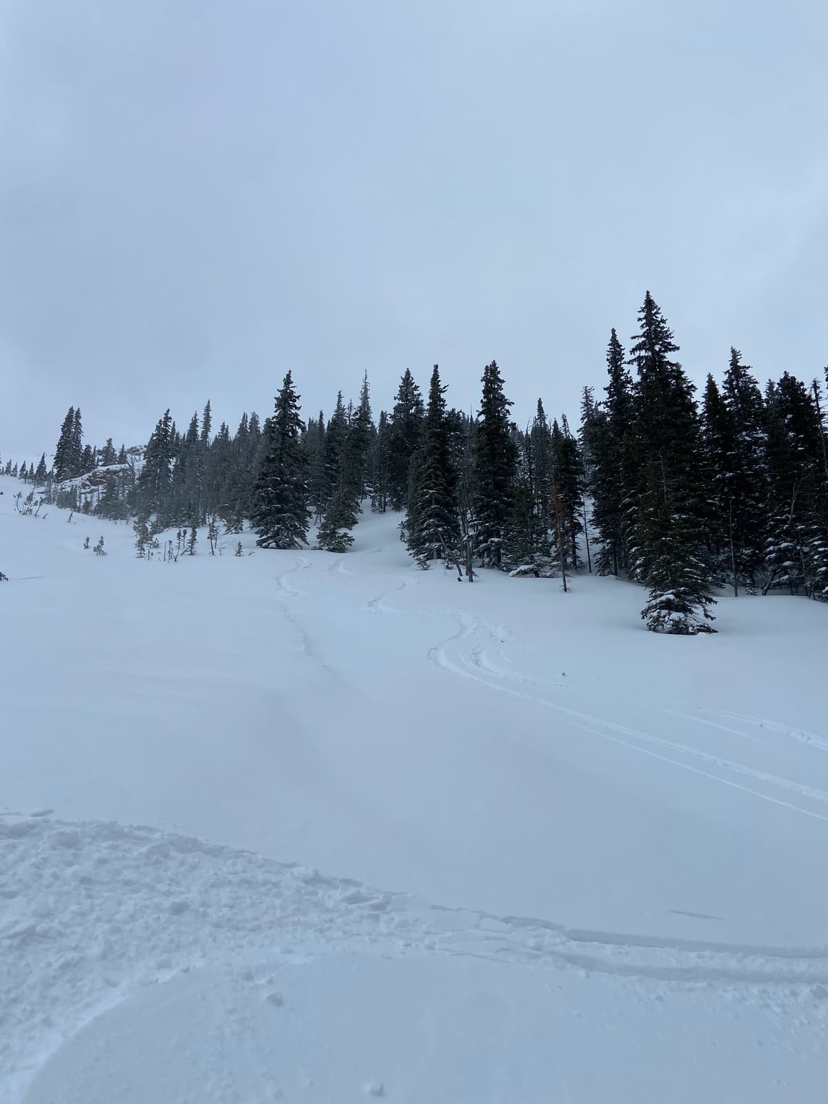 Great skiing. 