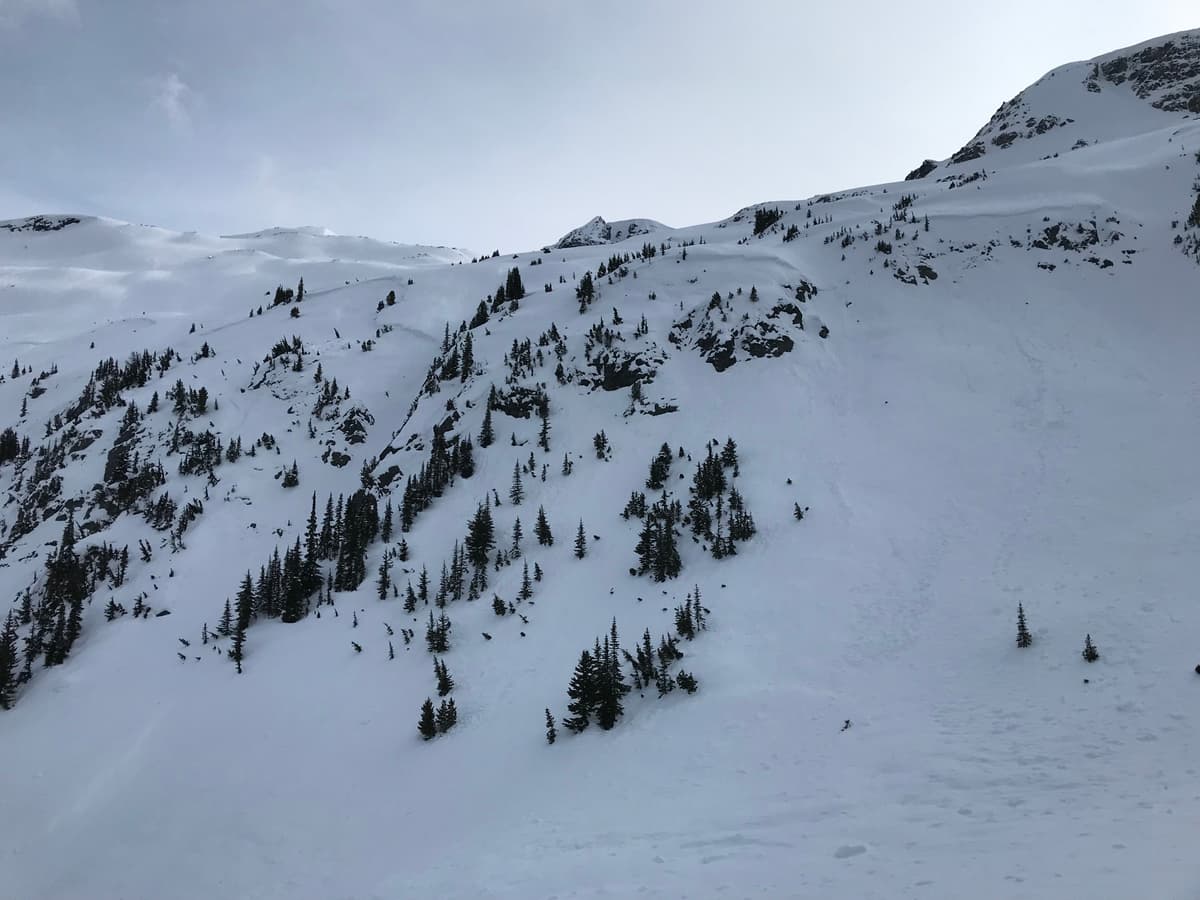 Note the crowns spanning all unsupported and steep terrain