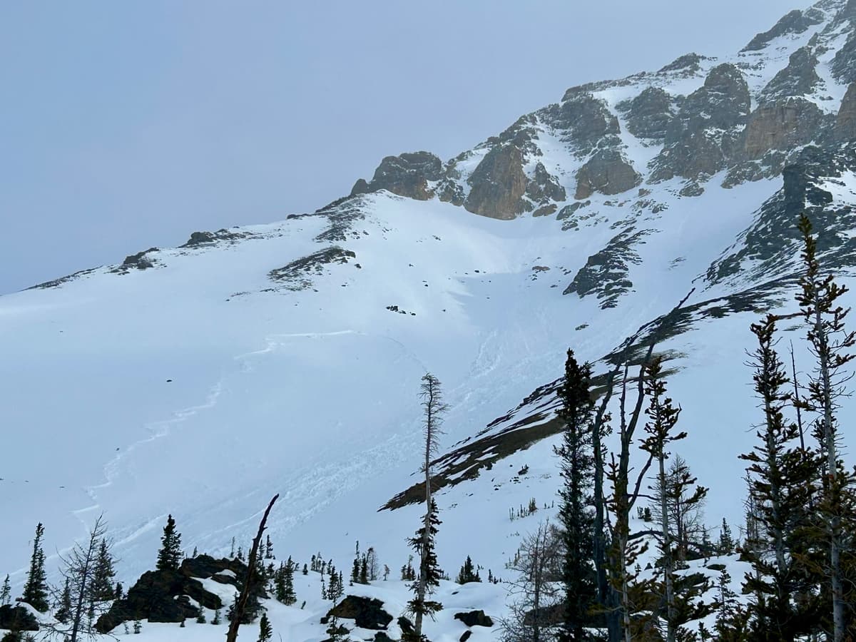 Recent natural, south facing ( ~2500m elevation)
