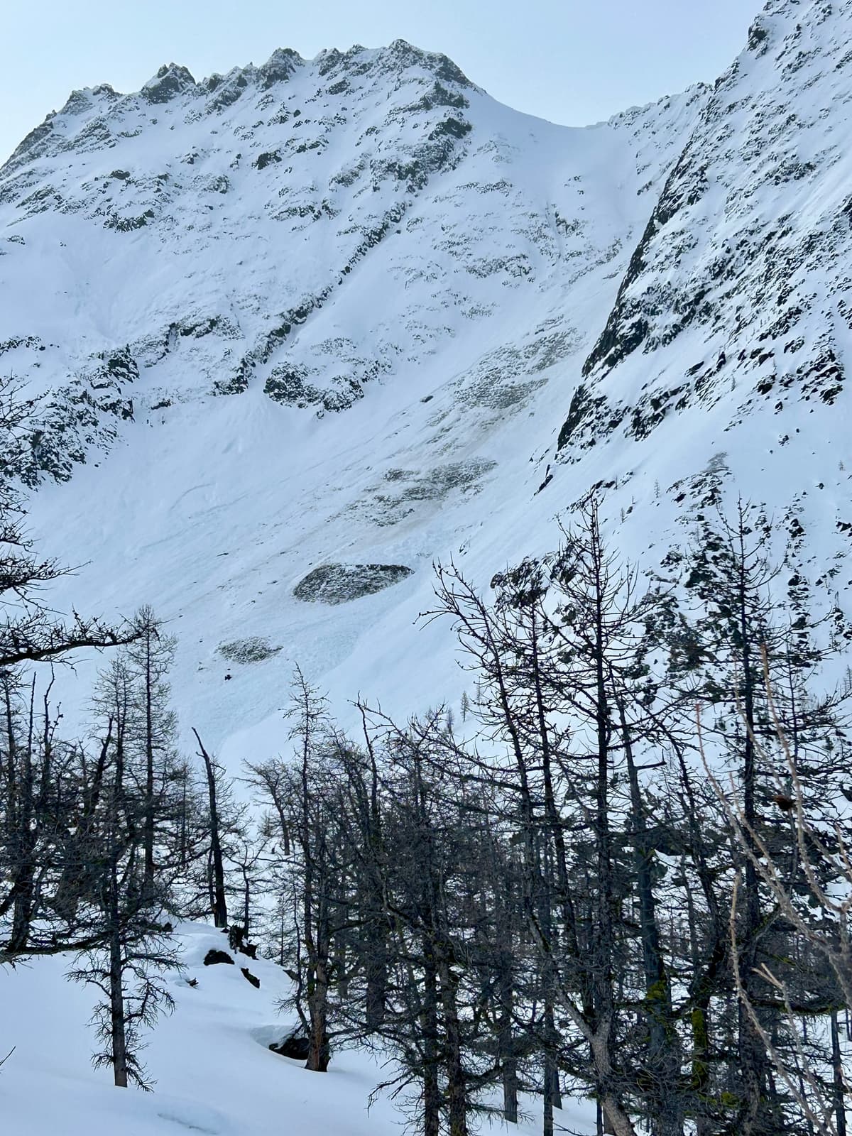Recent natural, north facing, ~2500m elevation, down to the ground in spots