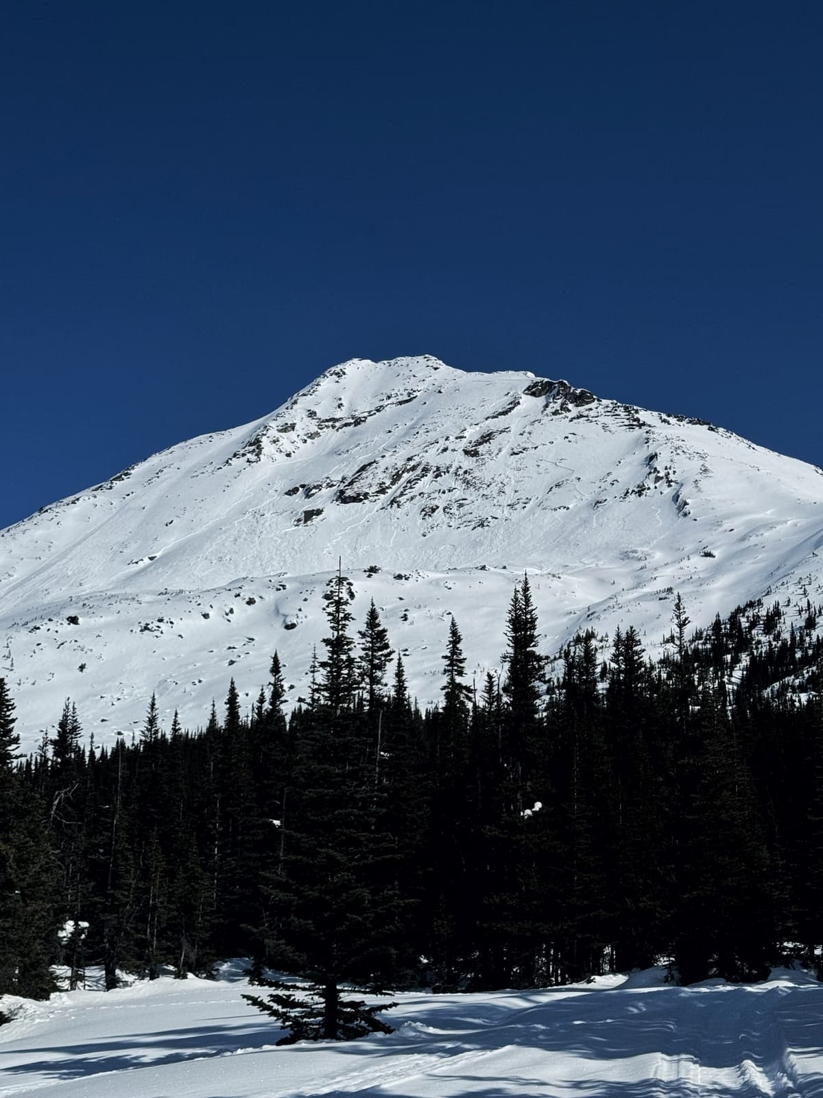 Several crowns of slab avalanches are visible here. 