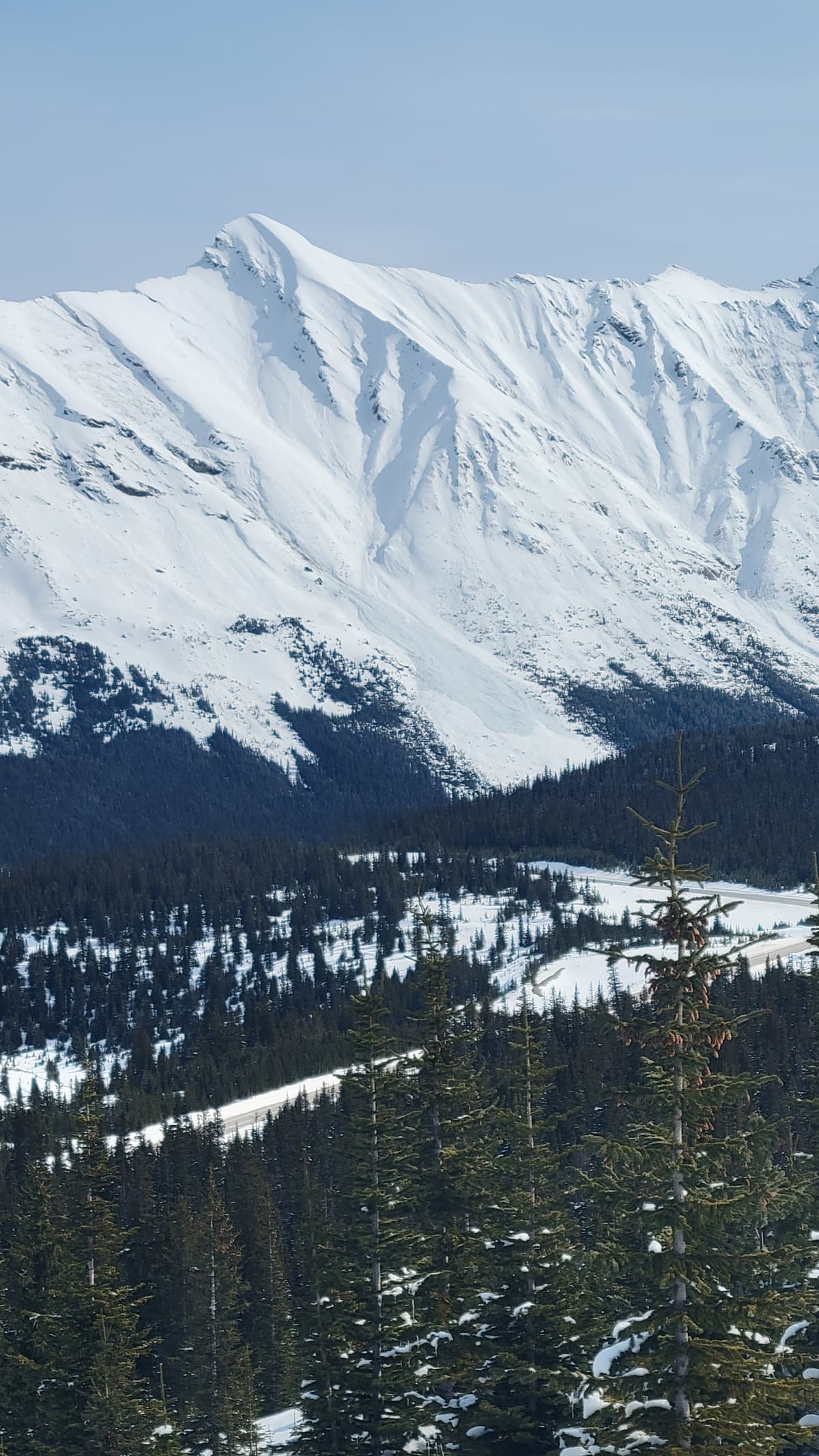 A large avalanche recent  across the valley