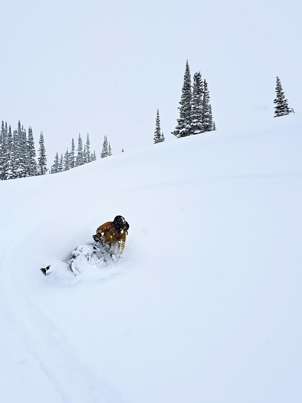 Don't put away the sleds yet! It's still winter 