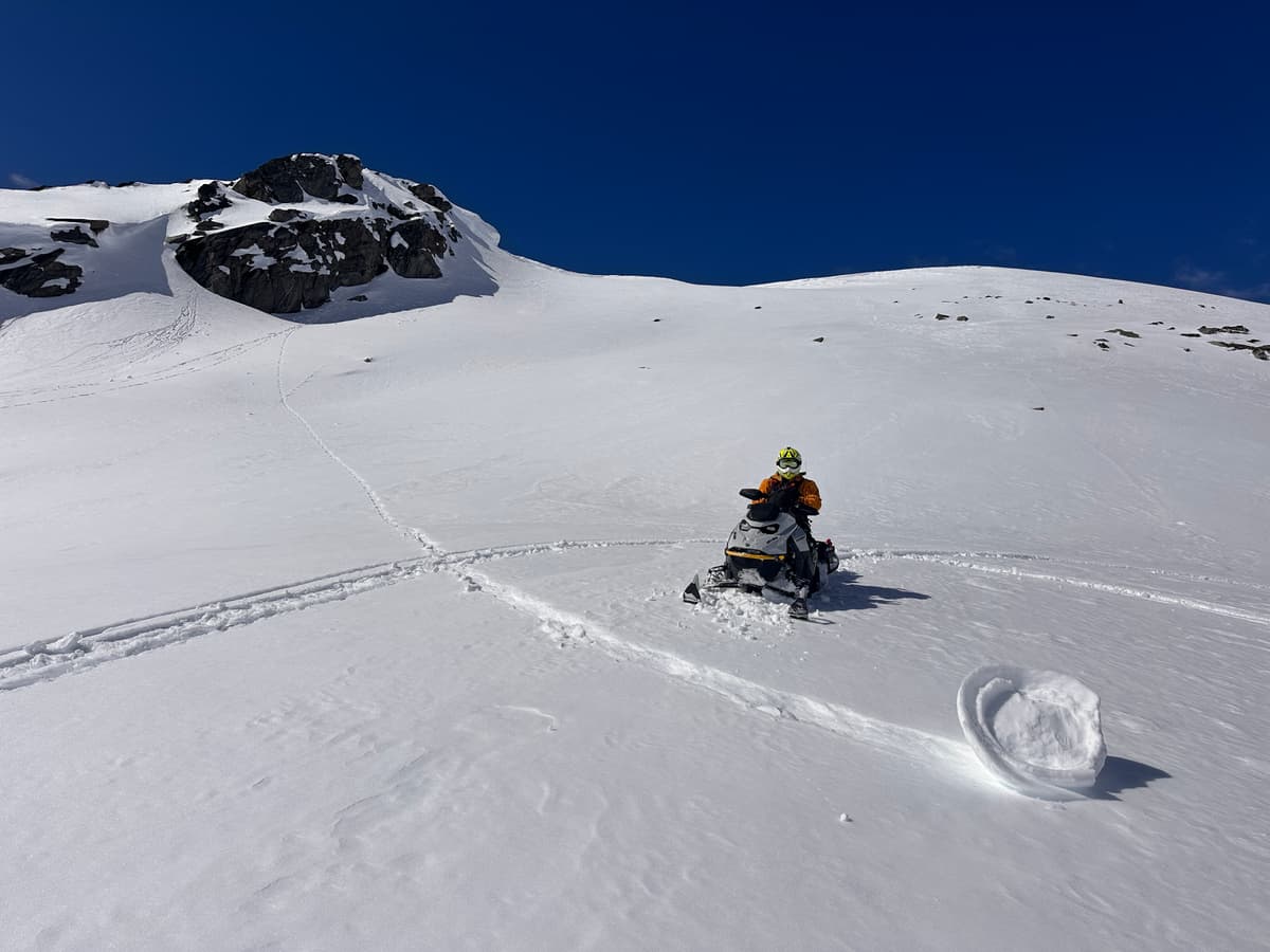There were many signs of the warm temperatures spreading high into the alpine.