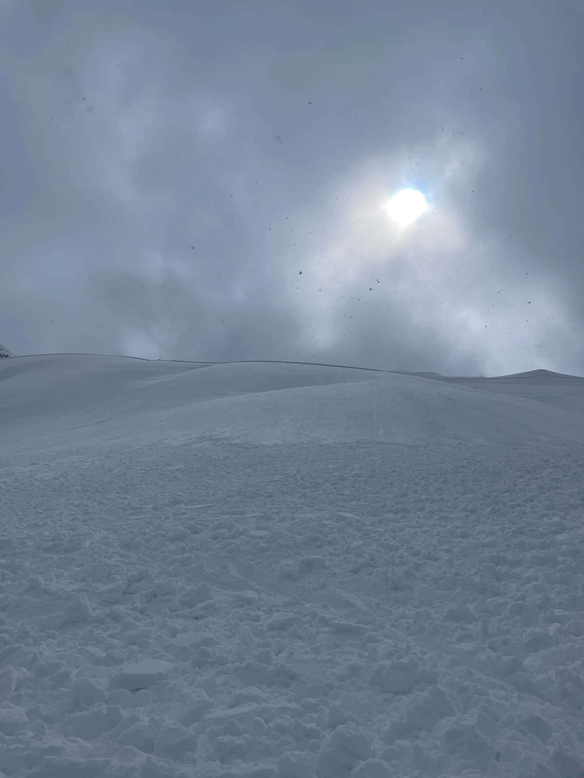 Triggered 20m from top in the middle of photo.