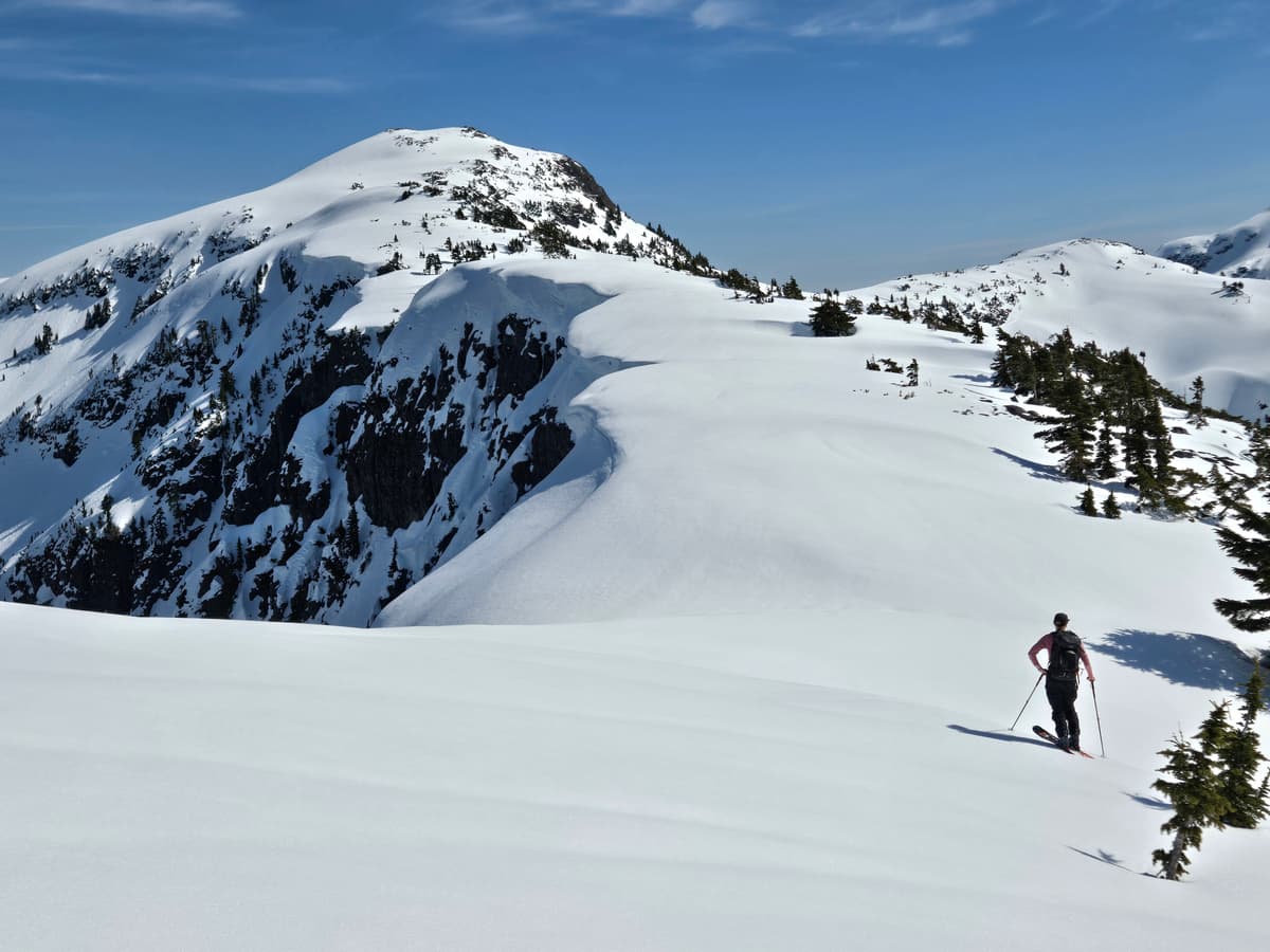 Beauty day for an alpine wander.