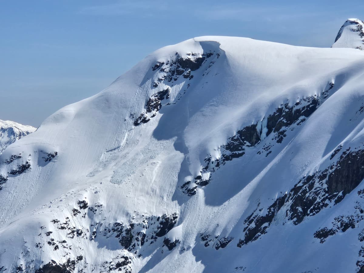 Some cool old avalanches around. This slab was super deep but didn't propagate far. March 7 crust failure plane? Likely a cornice trigger.