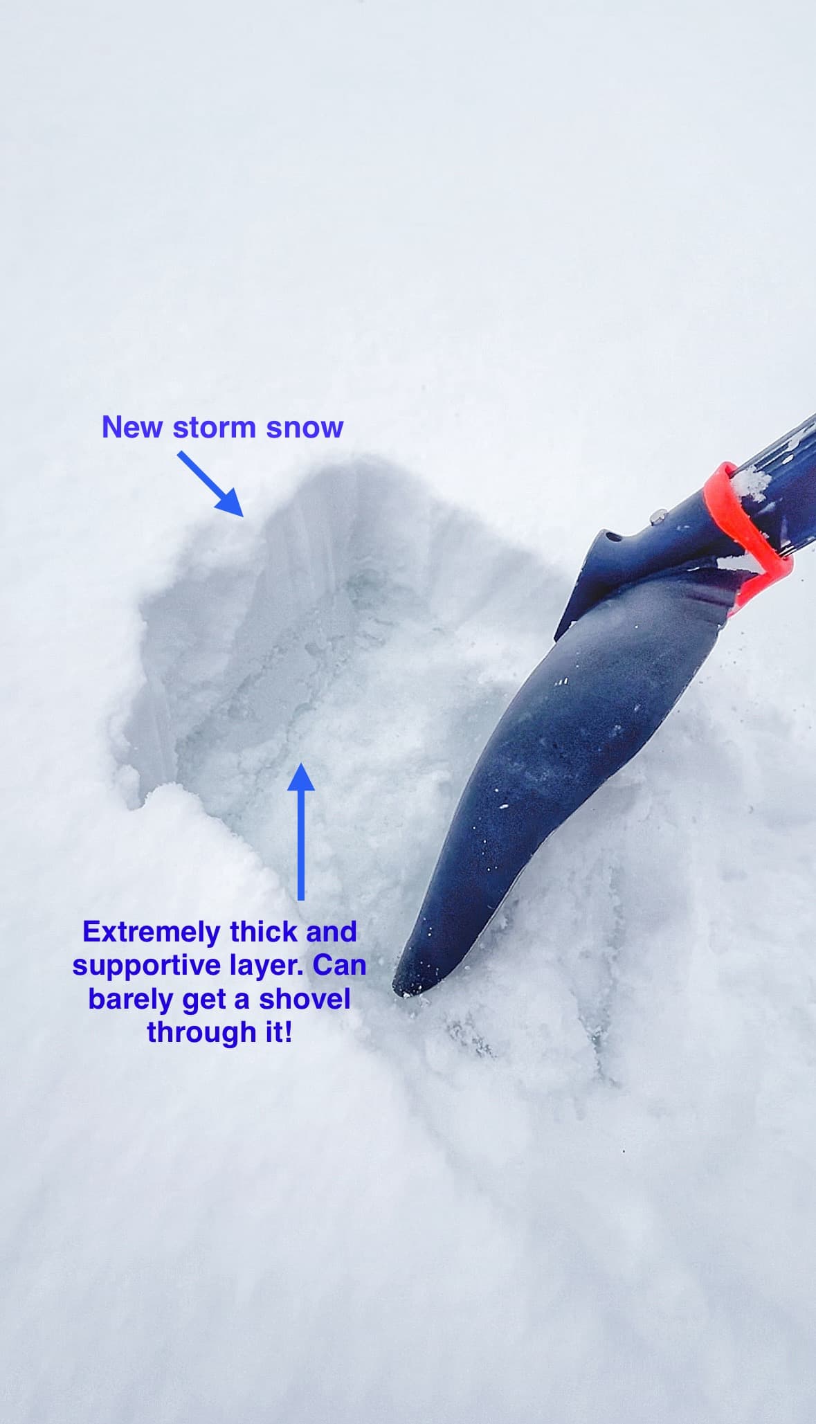 Supportive crust hiding underneath fresh pow