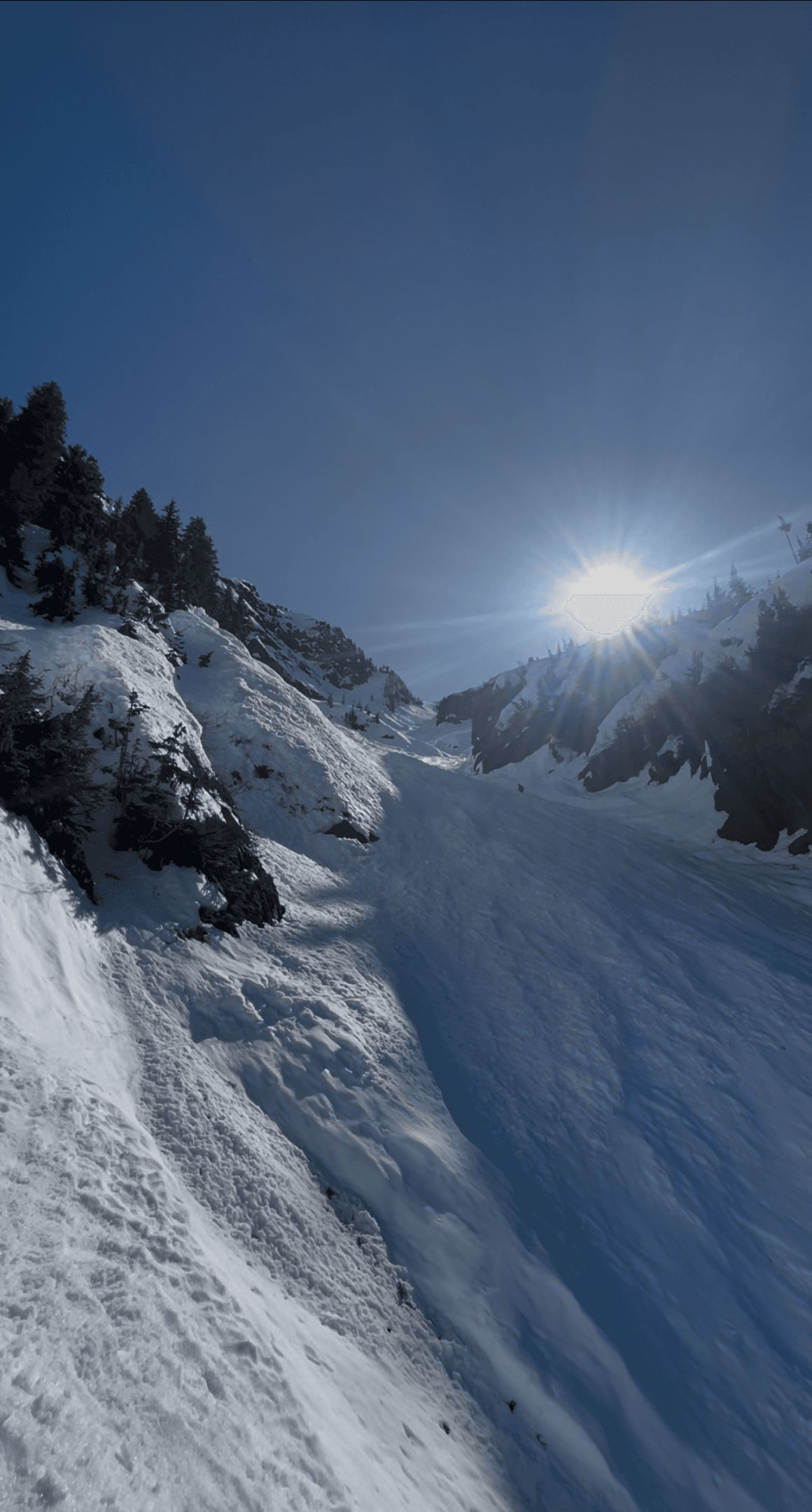 Frozen Crud