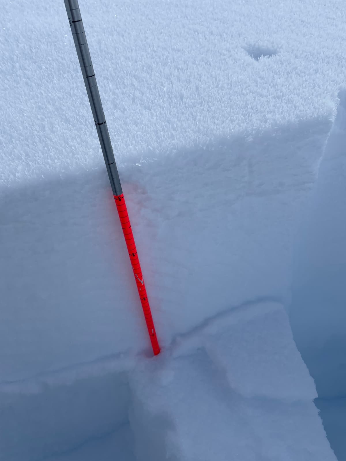 ECTP21 down 45cm at 1600m on a NW-aspect. 