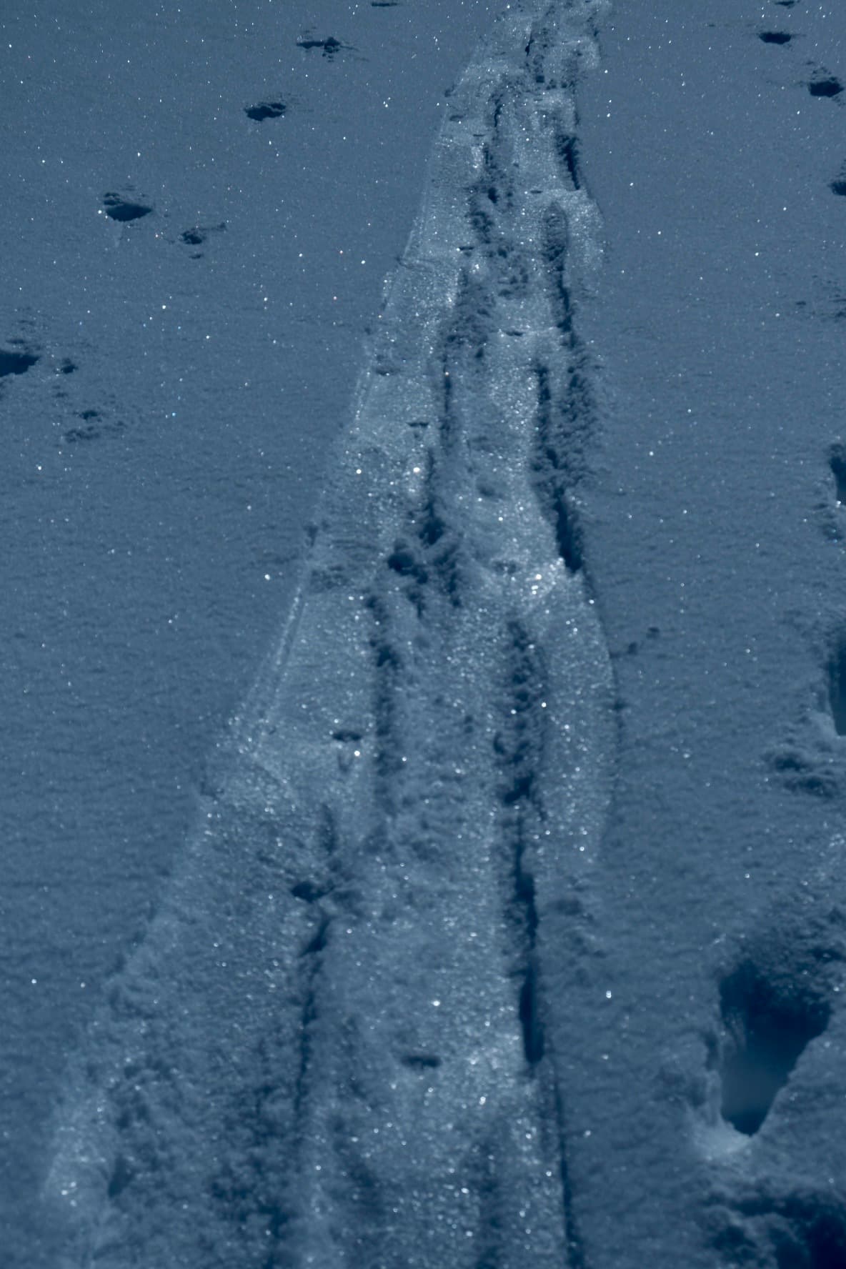 Slick skin track with compacted surface hoar. 