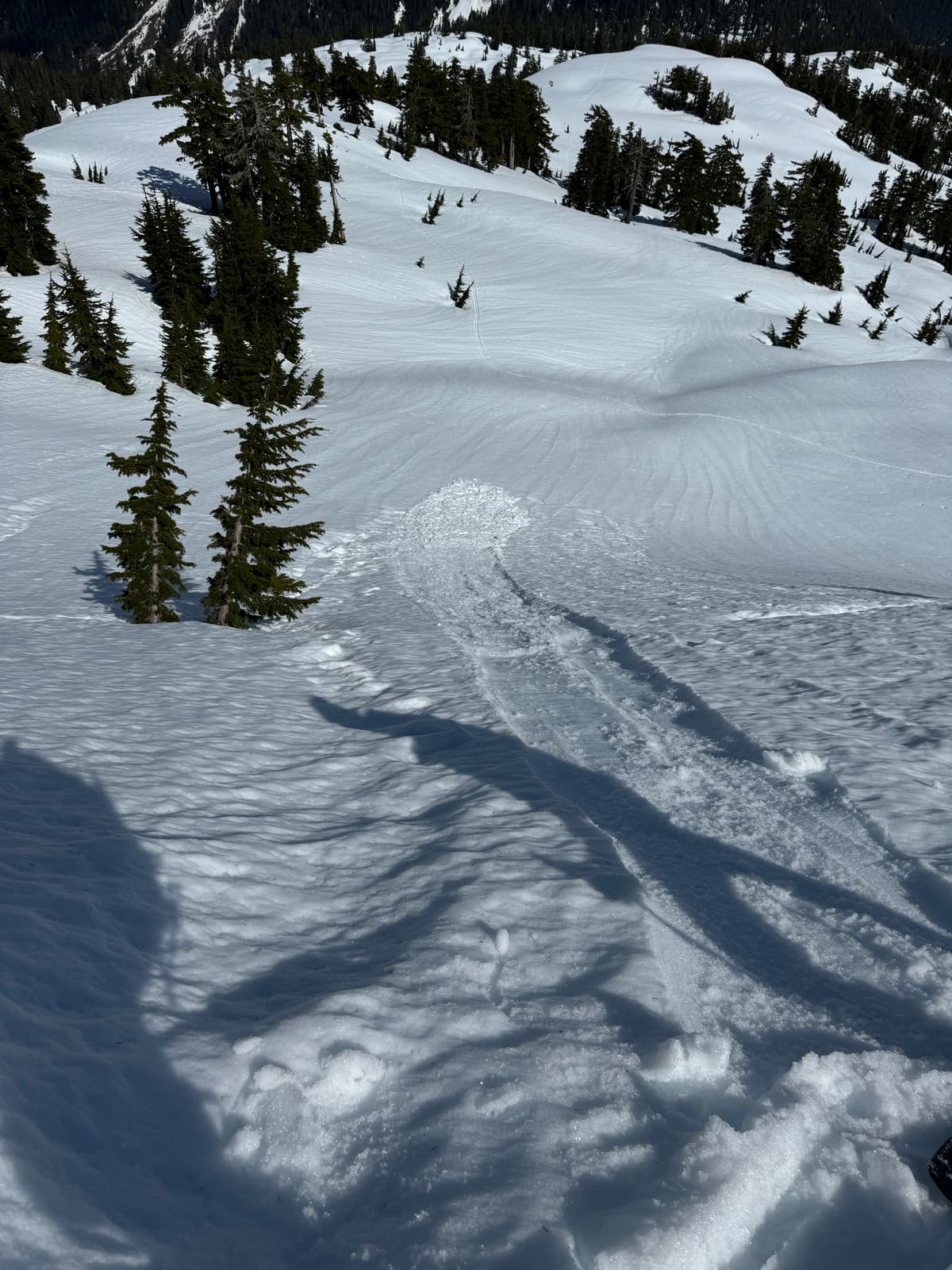 Lots of small wet slides 