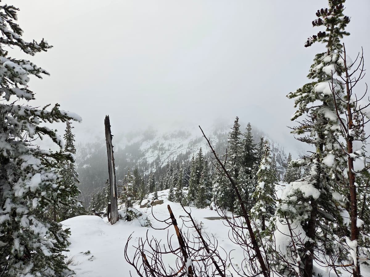 Looking toward Flatiron