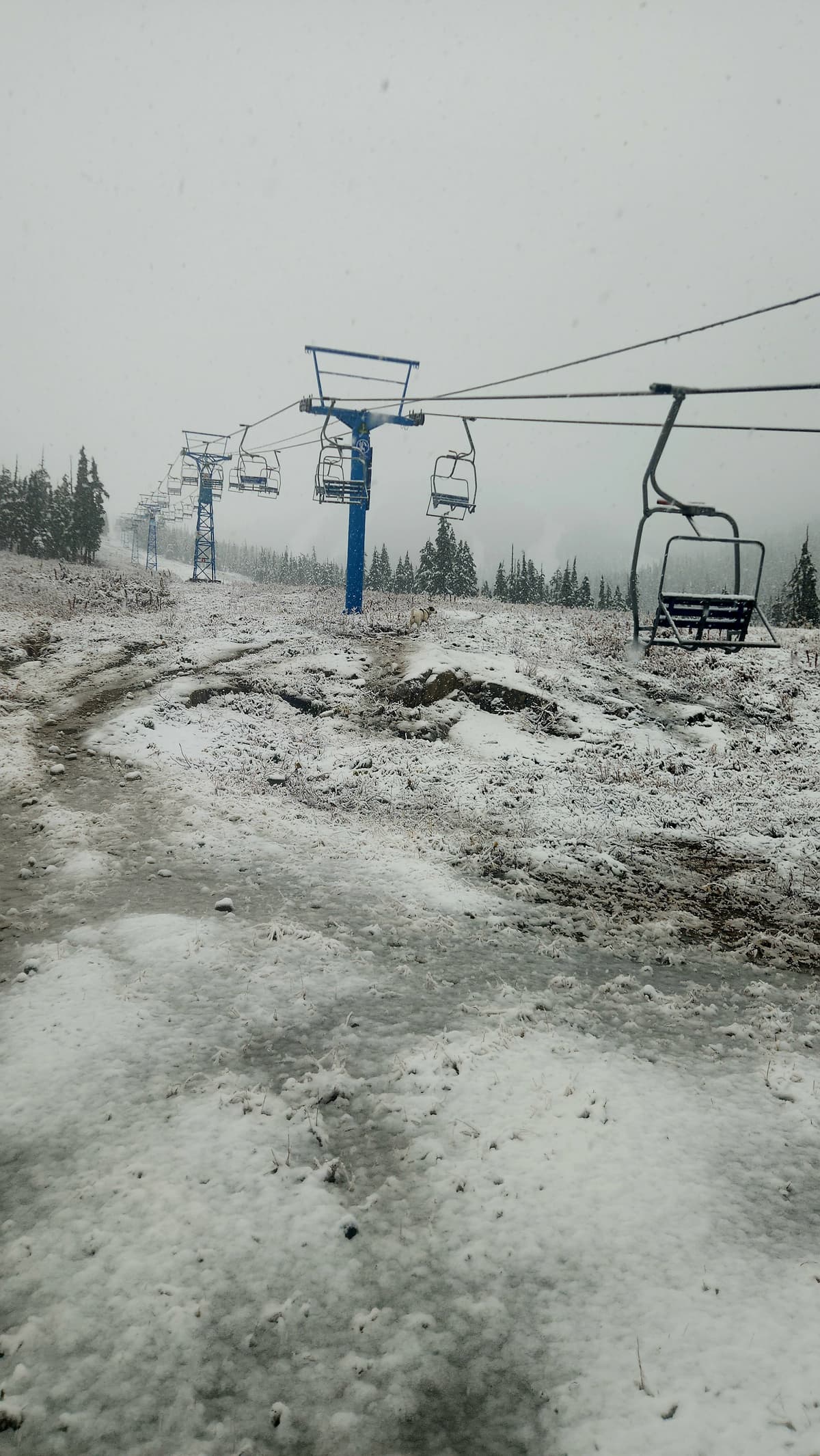 Wet slop at the bottom