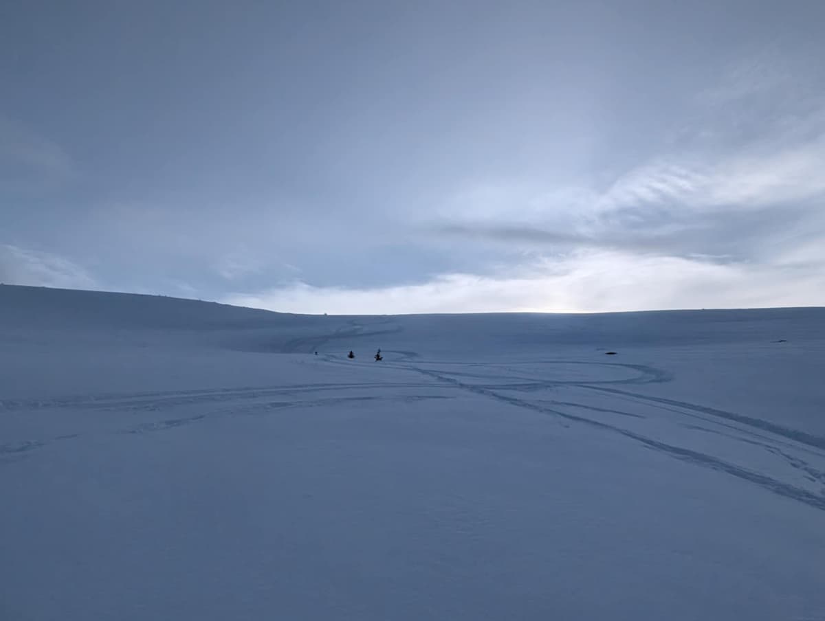 Found some nice turns