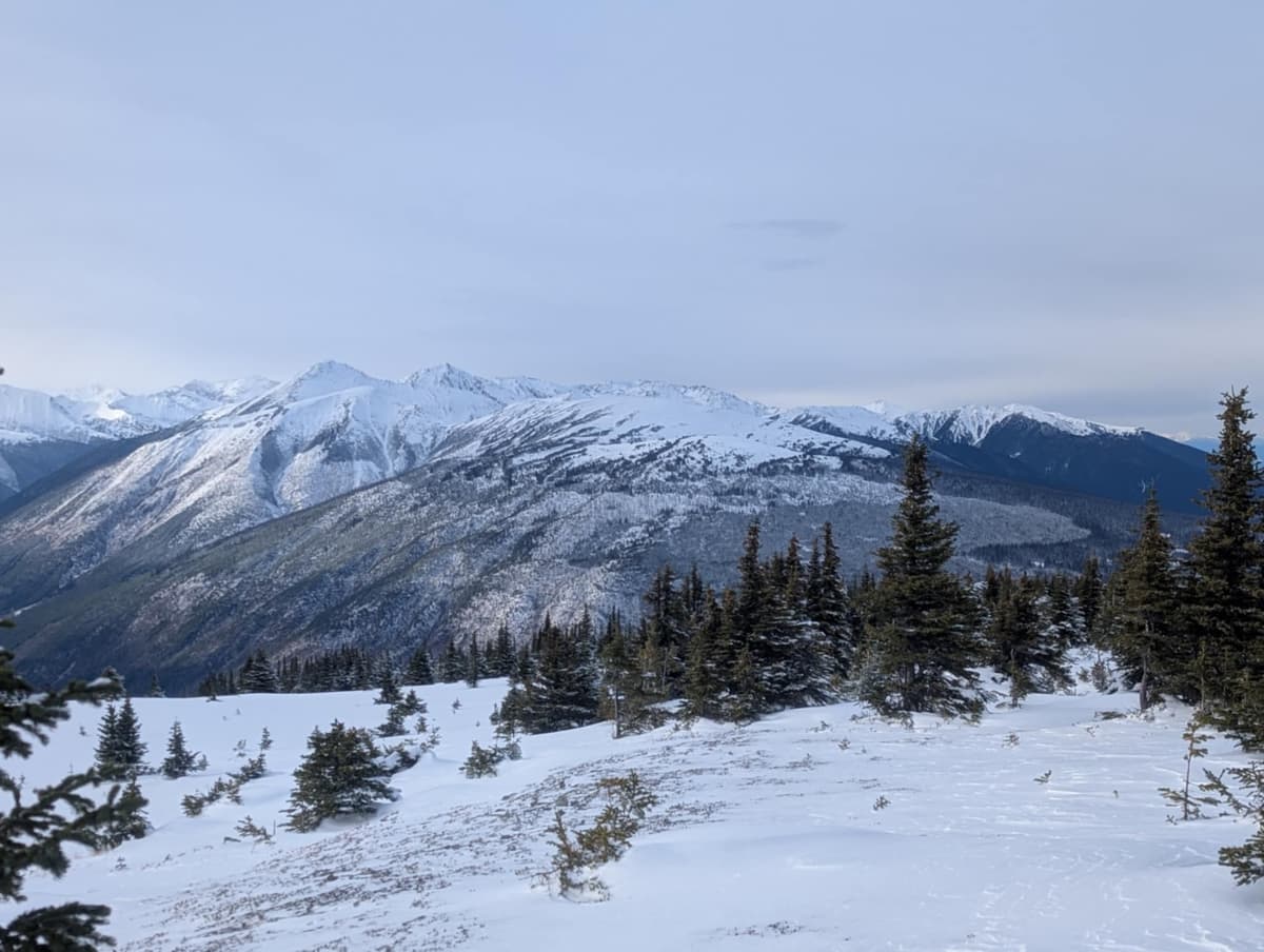 Looking over towards Bell Mountain area