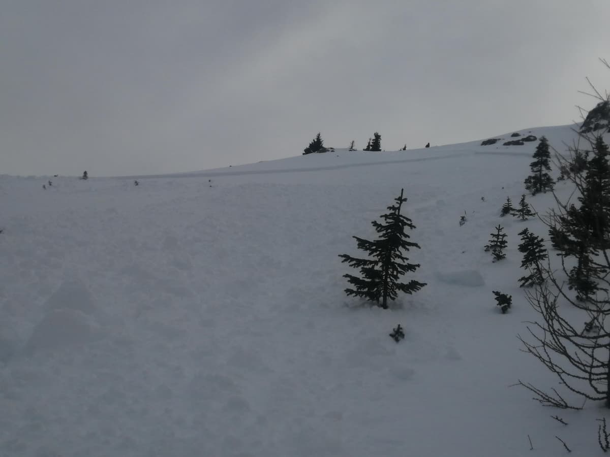 Avalanche from bottom 