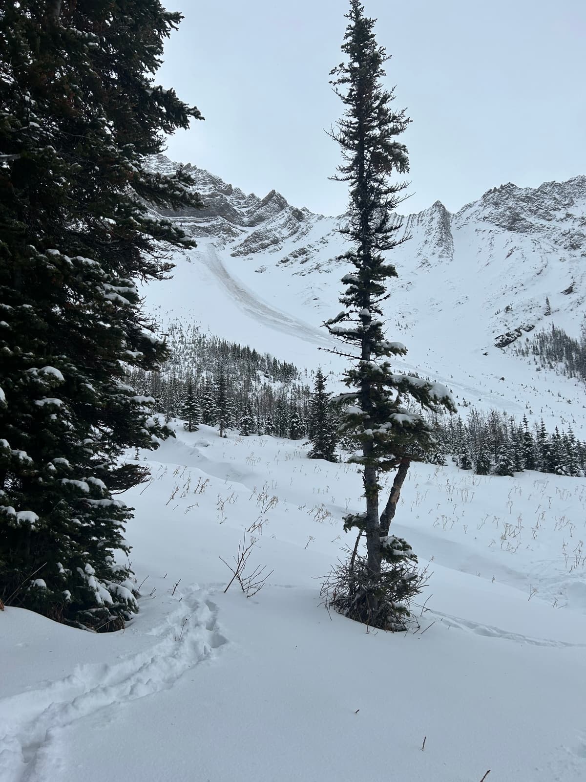 Photo taken on our way out