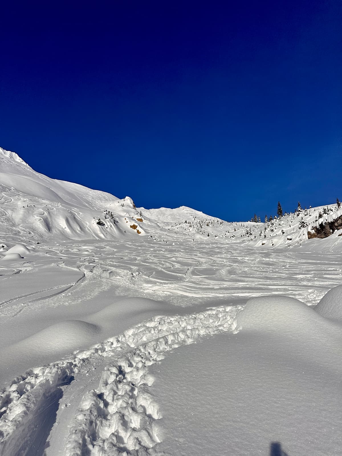 Don’t worry, no trail breaking required.
