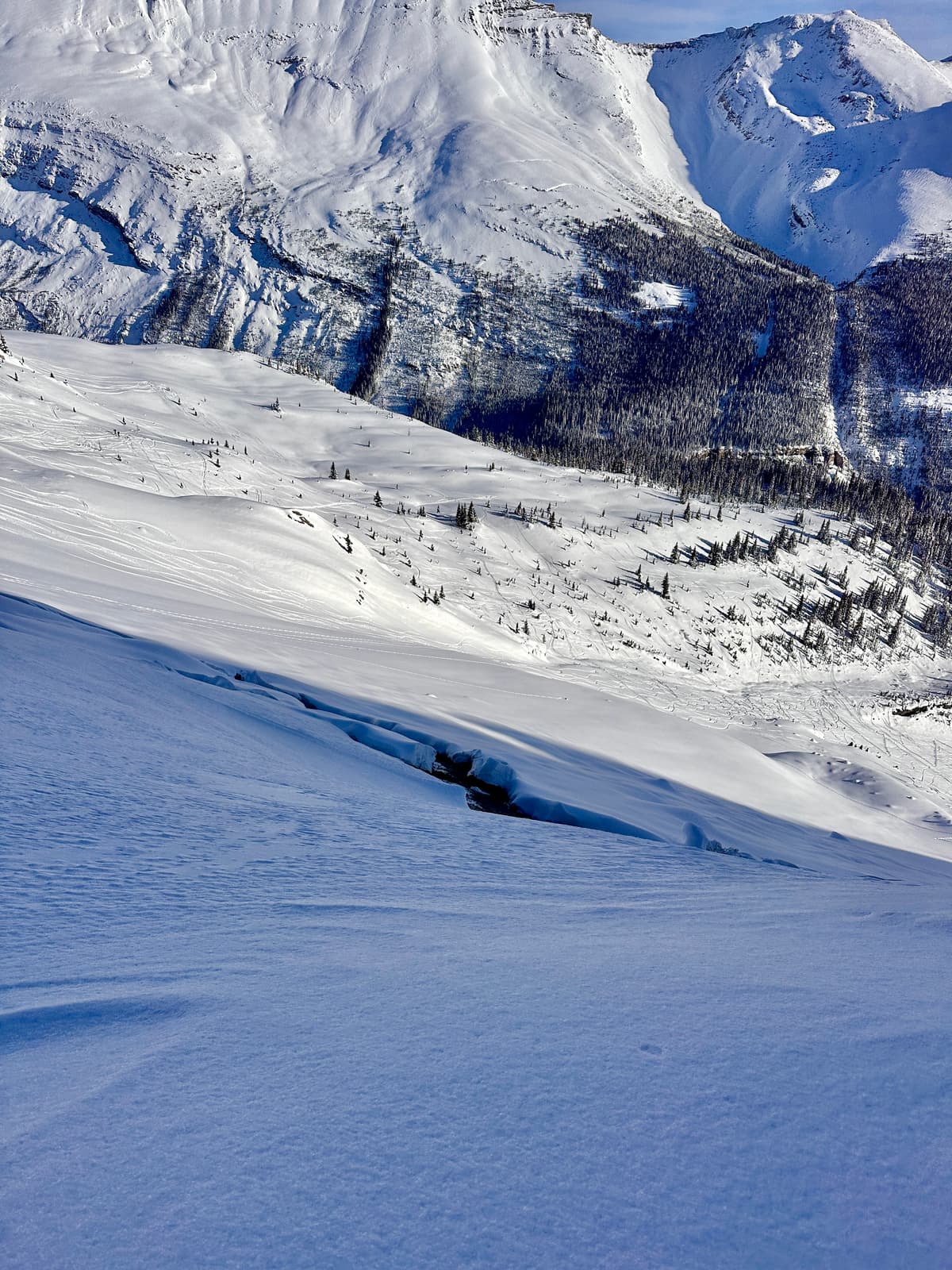 Glide cracks forming (1-3m wide) on the lookers left slopes 
