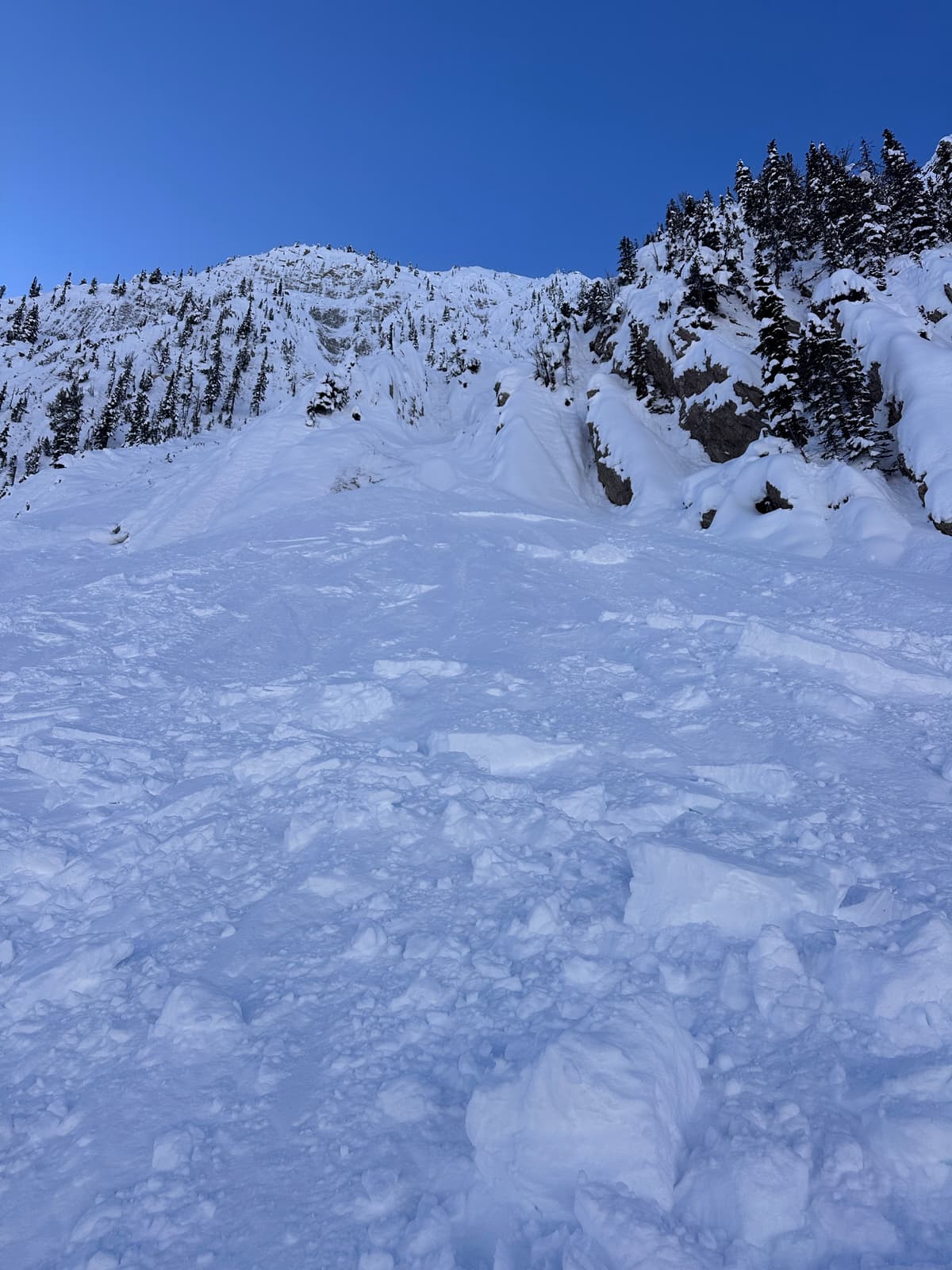 Fresh (1-2 day old) debris below the Ogden headwall.
