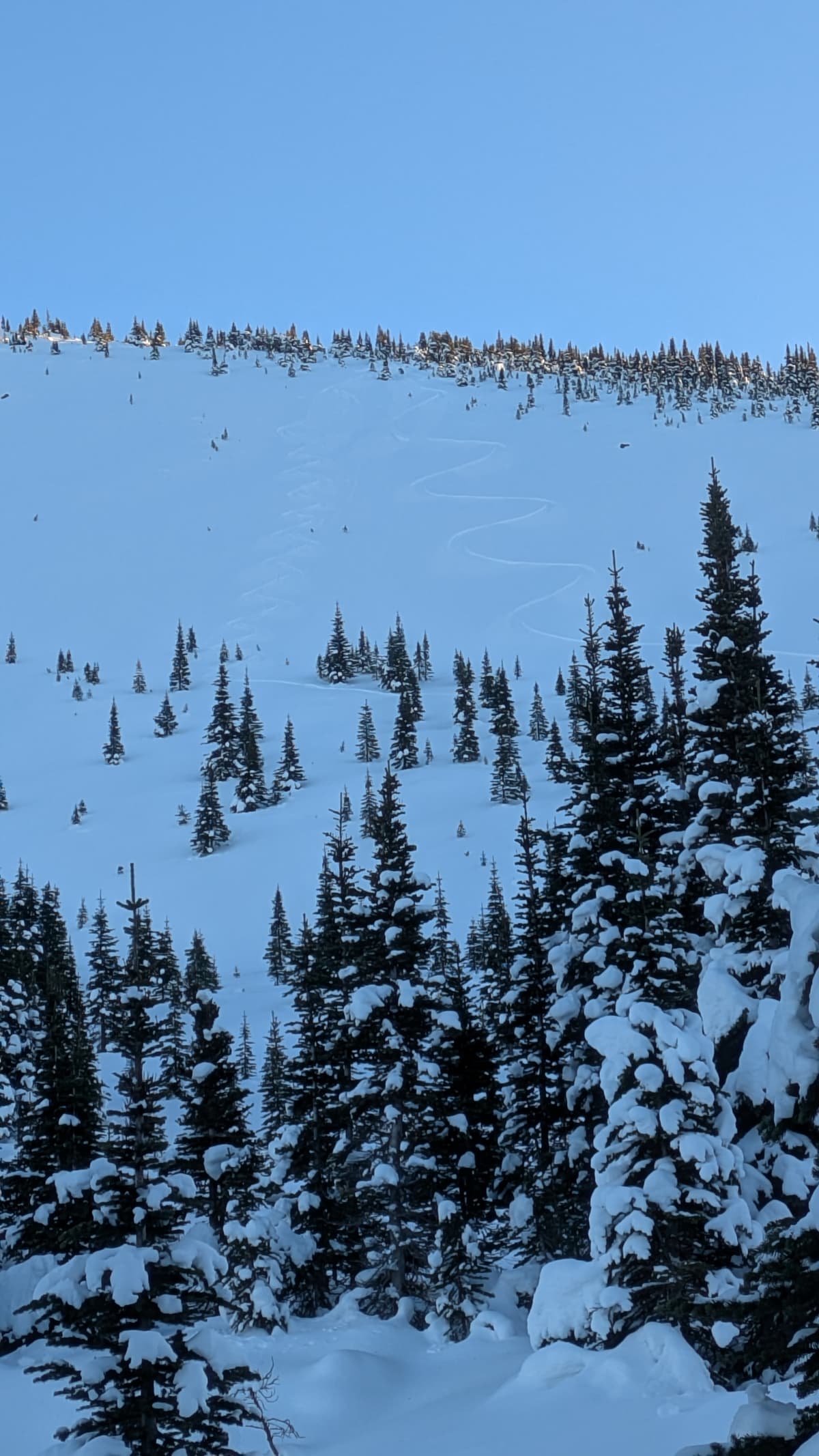 Some mighty tastey turns ~1900m.