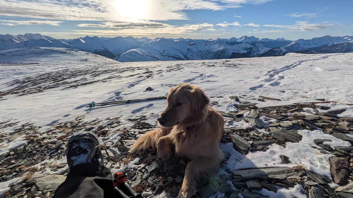 Enjoying the views after a long trip up.