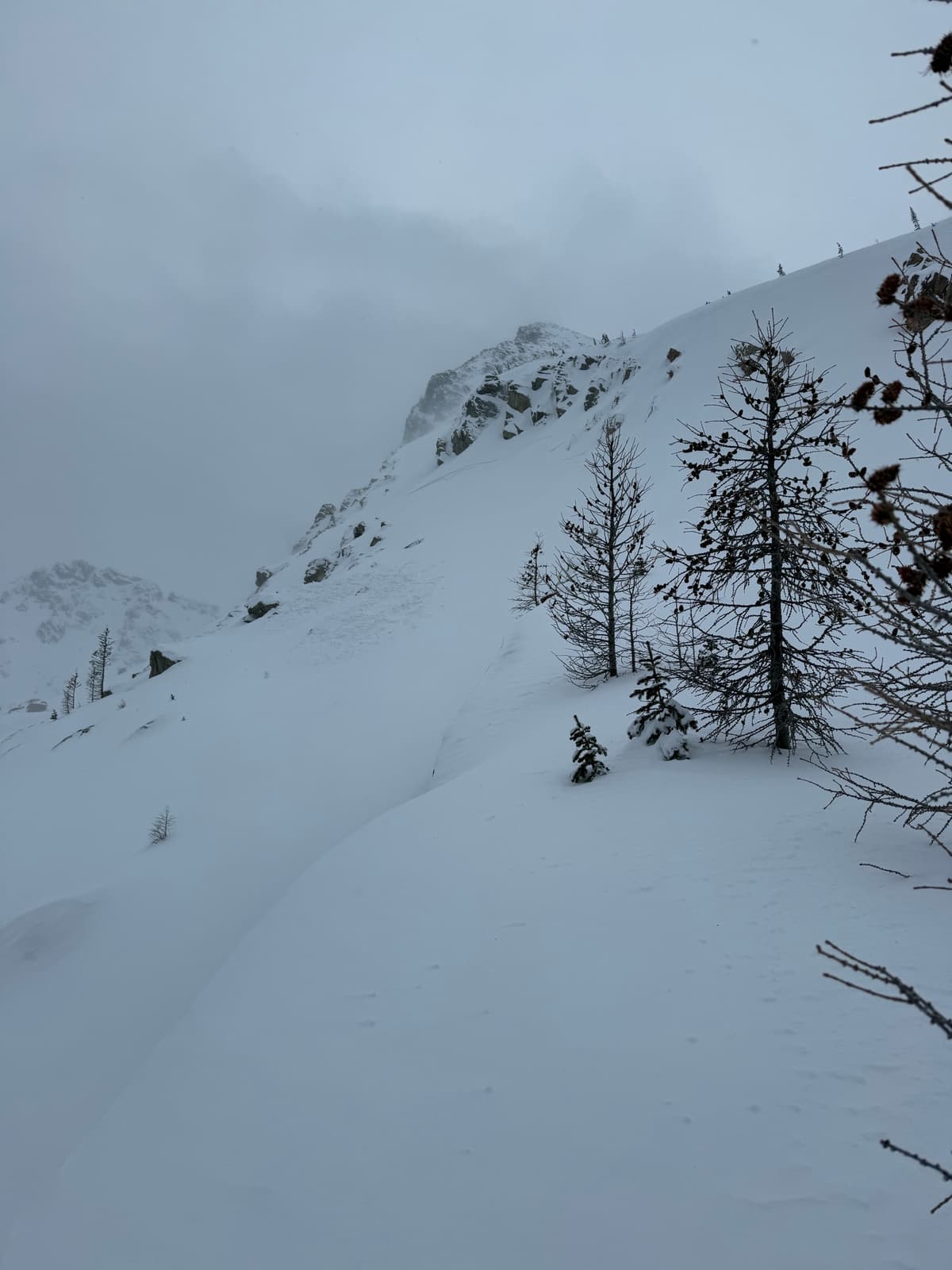 Tiny natural wind slab, north face, 2300 m elevation 