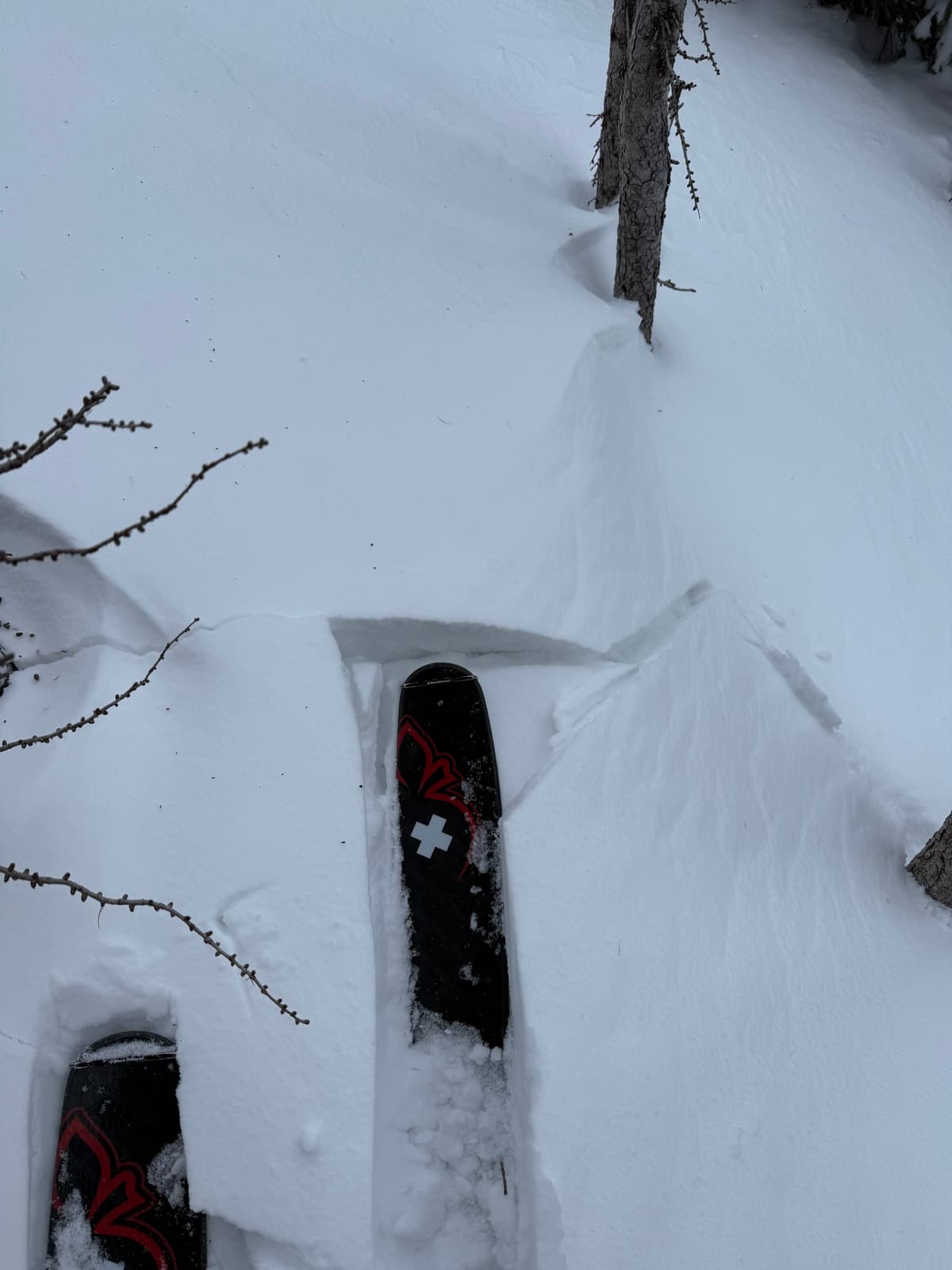 Shallow wind slabs. Nothing of consequence.