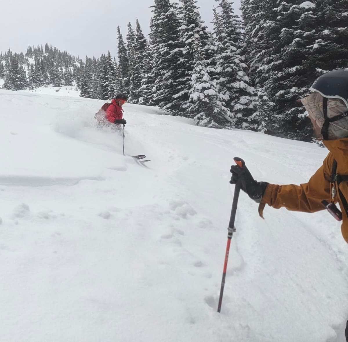 Nice pow skiing :)