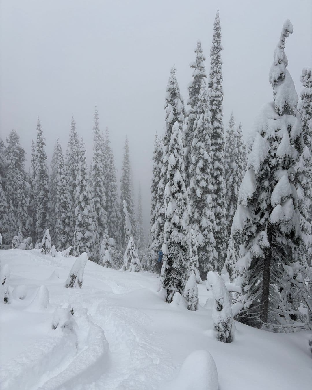 1800m, cabin peak