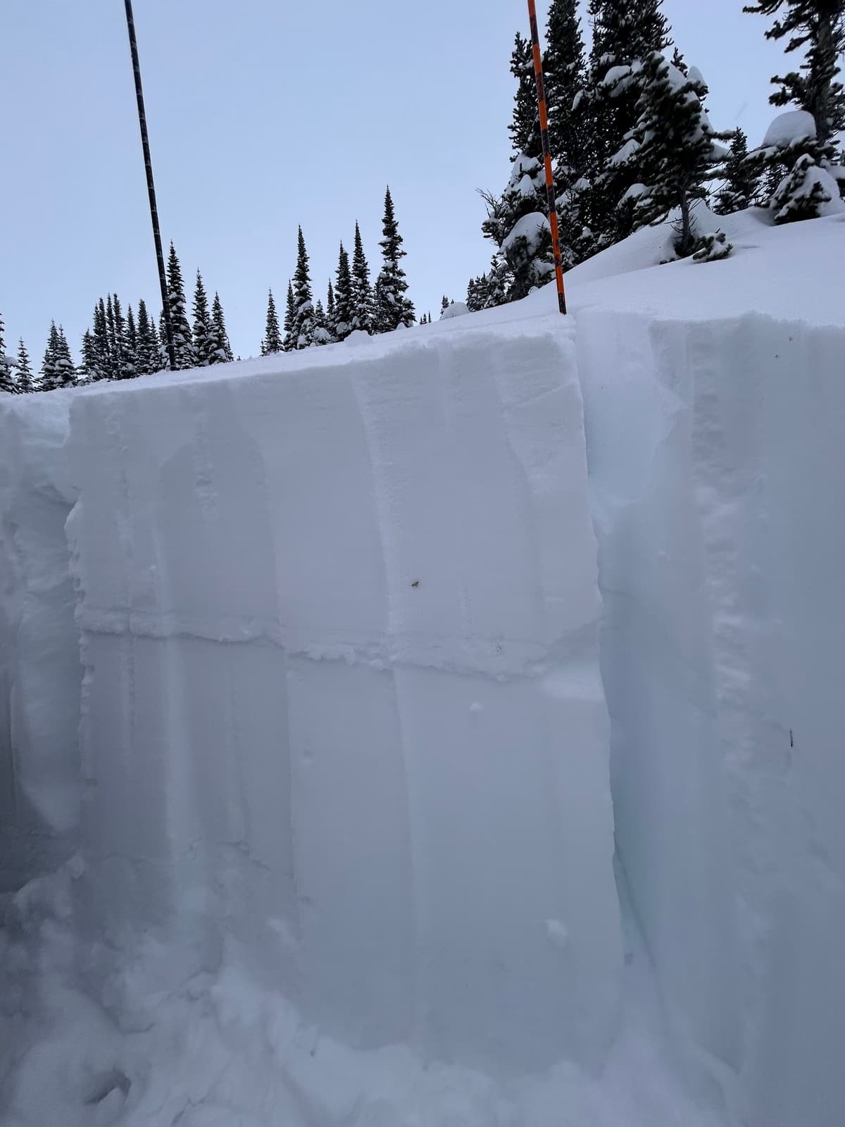 Full propagation on Nov 24th SH down 50cm. 

South aspect at 1500m 