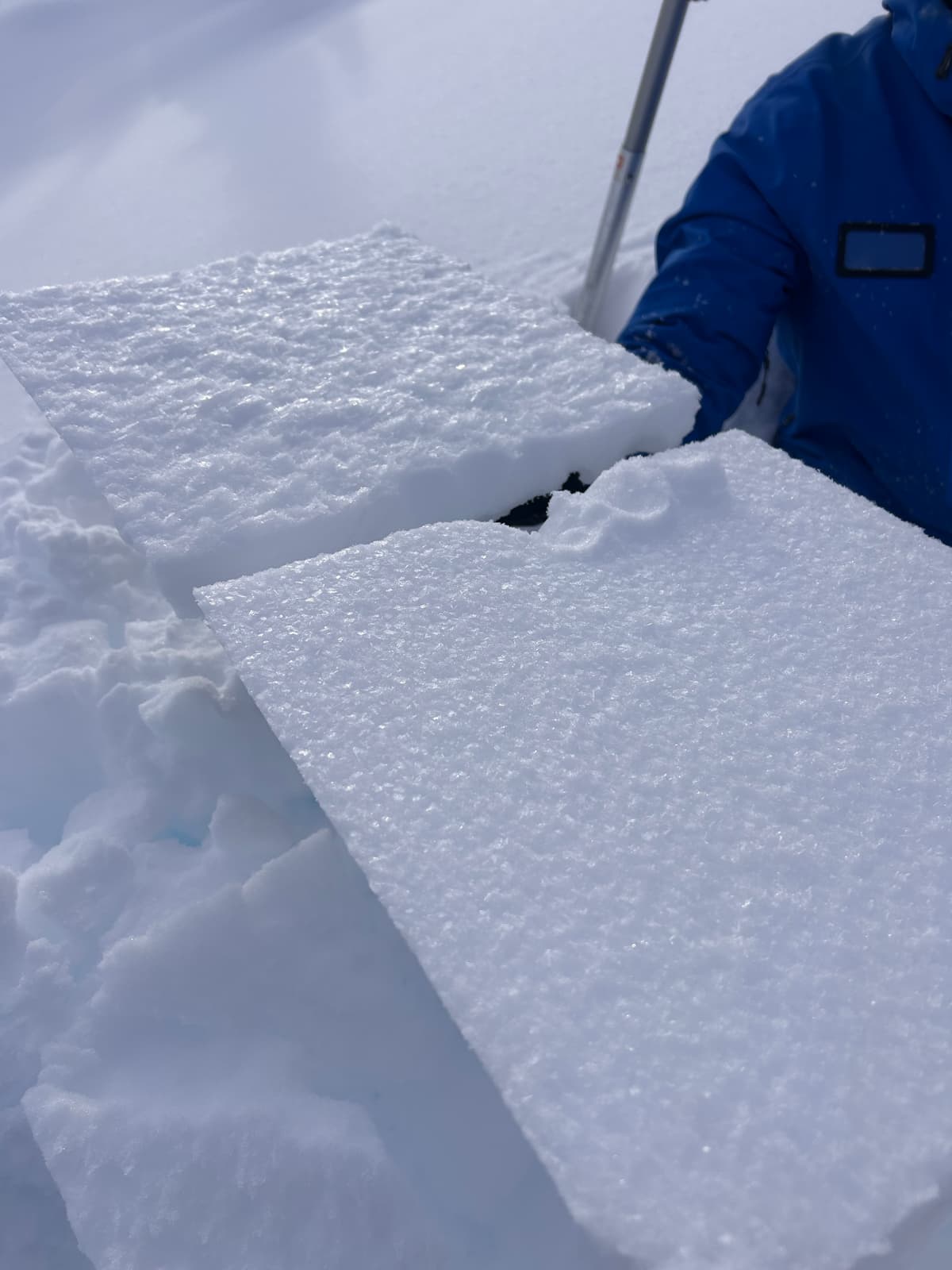 The late Nov surface hoar layers. These were less than 10 cm apart in this snowpit. 