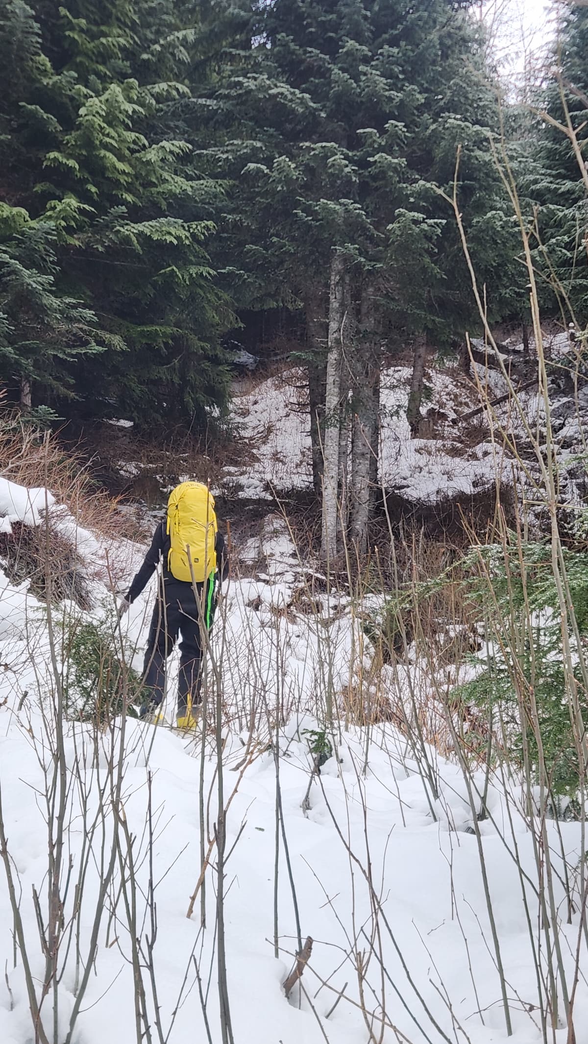 Top of the log rd.  Hard and got worse in the trees 