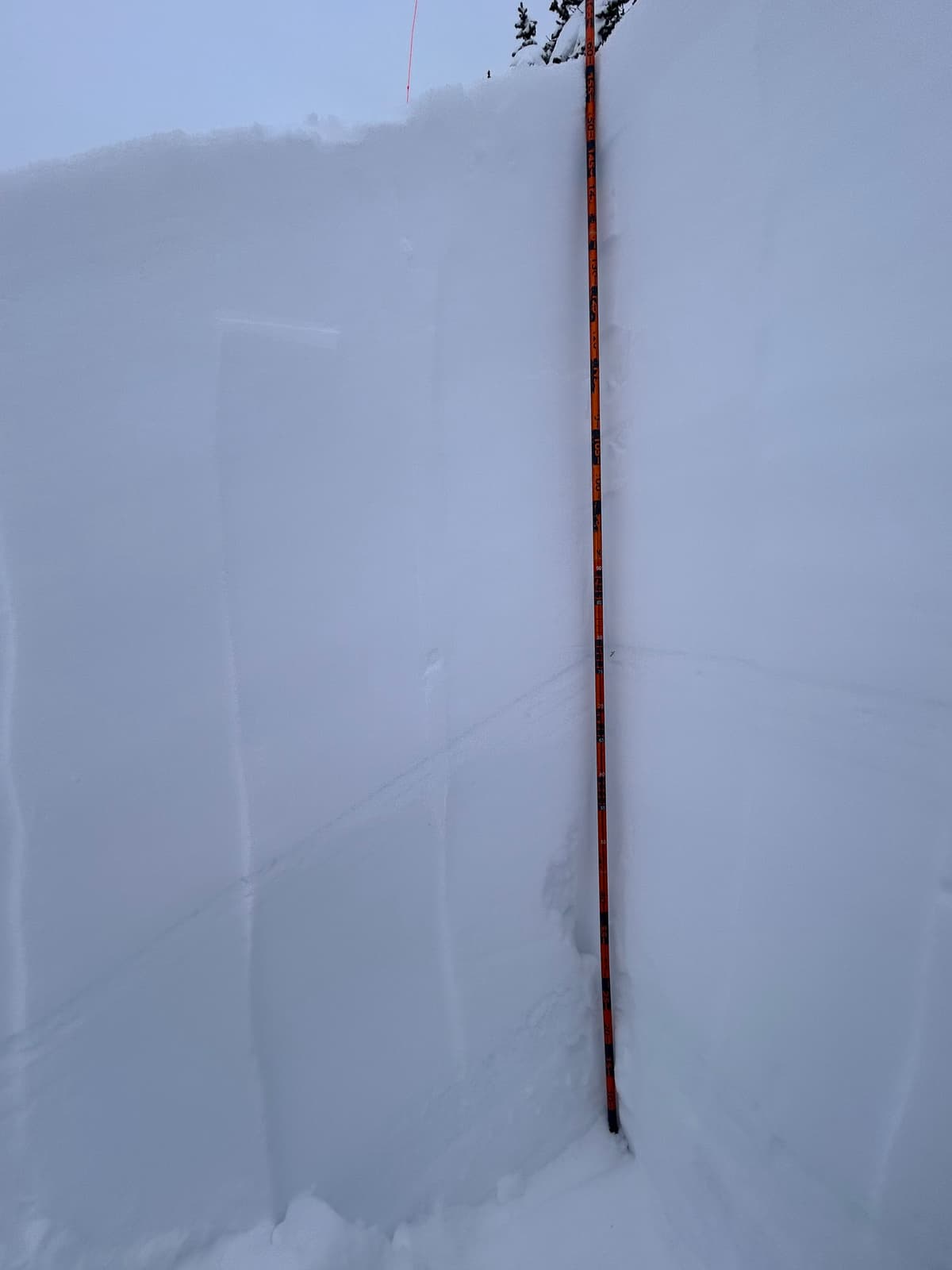 November surface hoar visible down 75cm