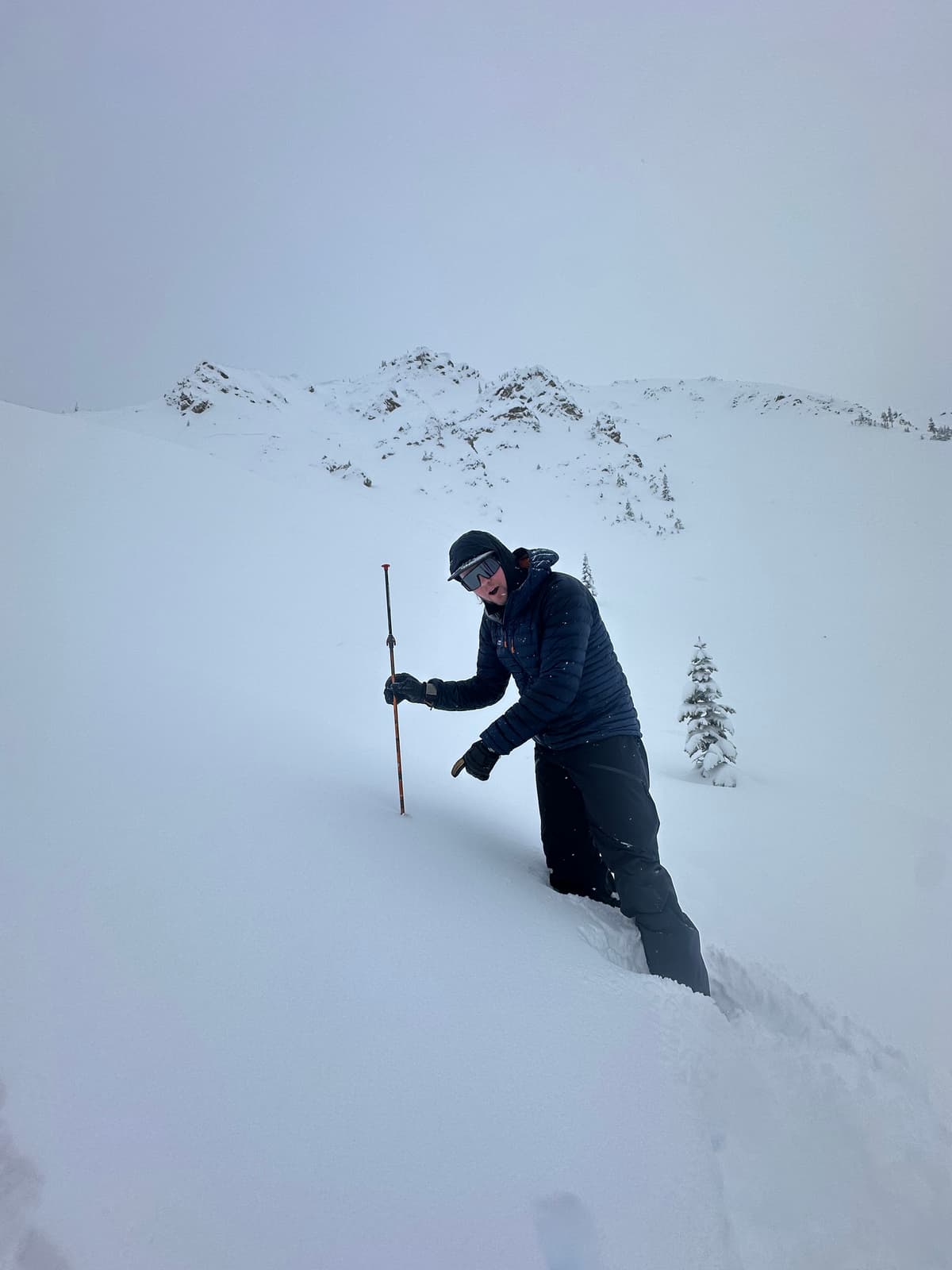 Found us a nice deep spot with 230cm 
of snow!