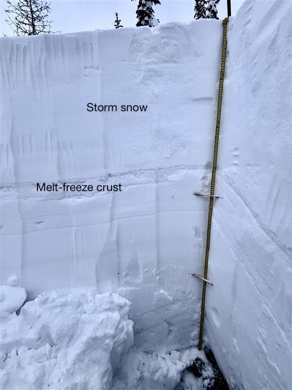 Snowpit