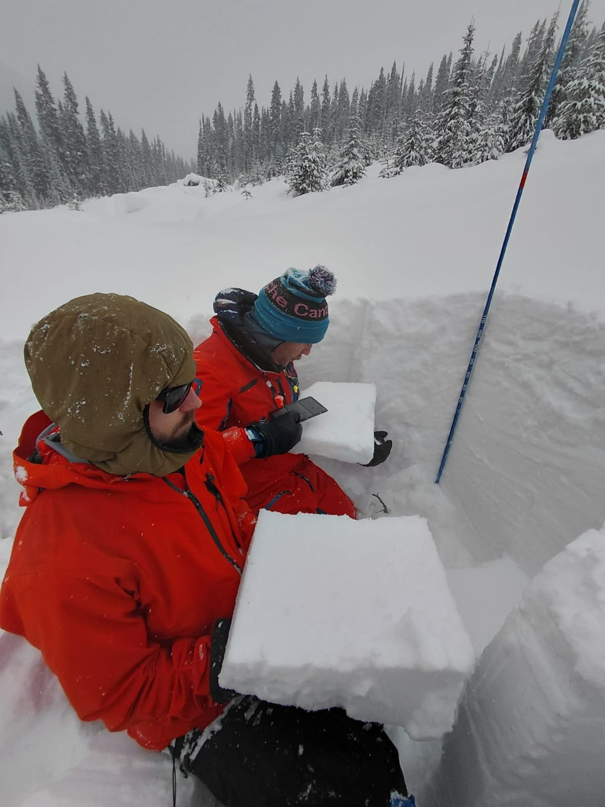 We dug lots of profiles today to try and verify the conditions. The current persistent problem can be spotty and vary across elevations and aspects. 