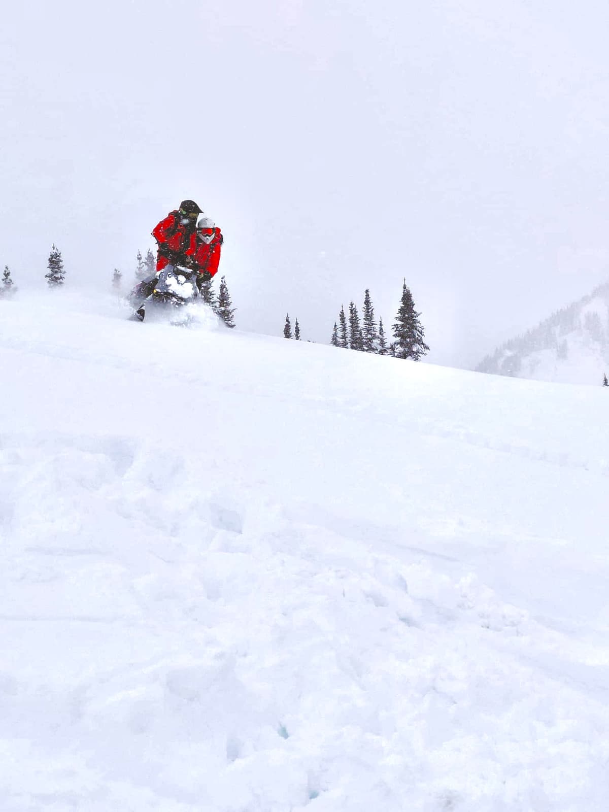 There was great tandem powder turns found in sheltered treeline features away from the effects of recent winds. 