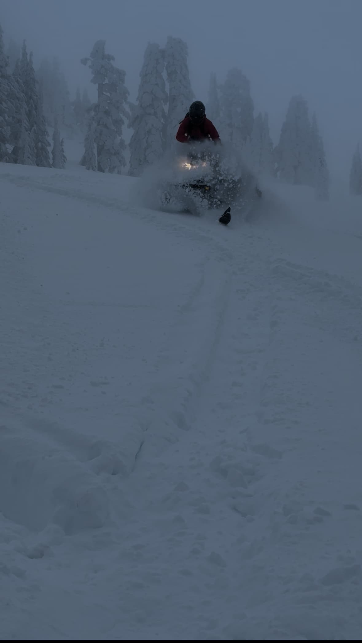 The riding is deep! 