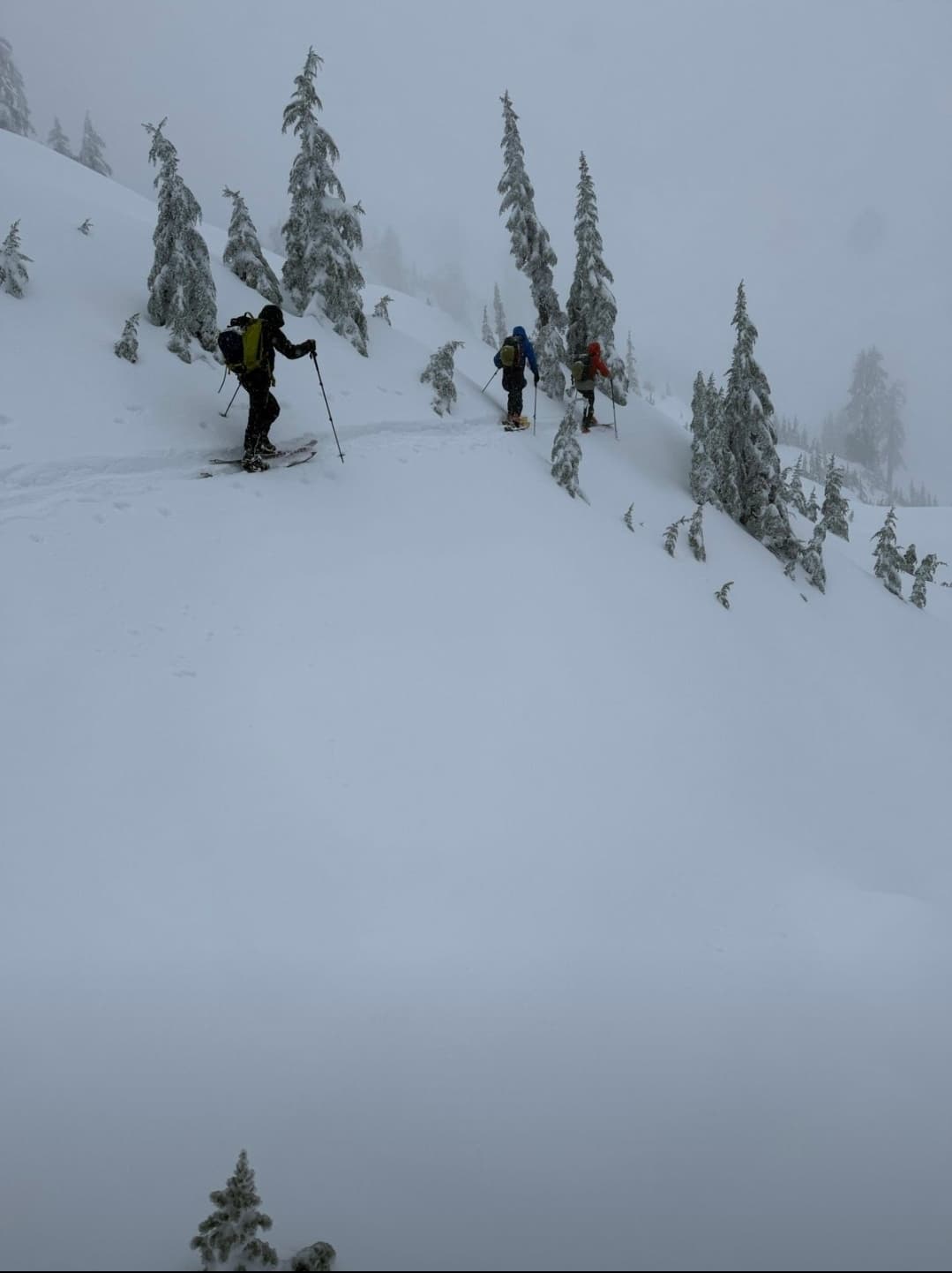 Winter came on FAST