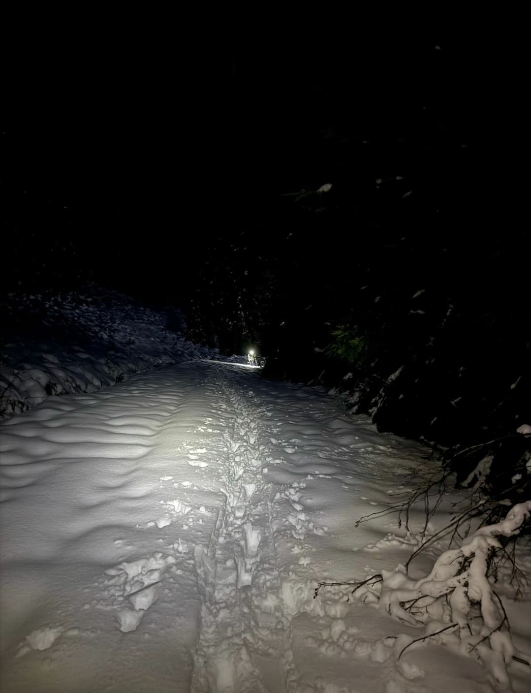 Logging road exit in the dark @625m