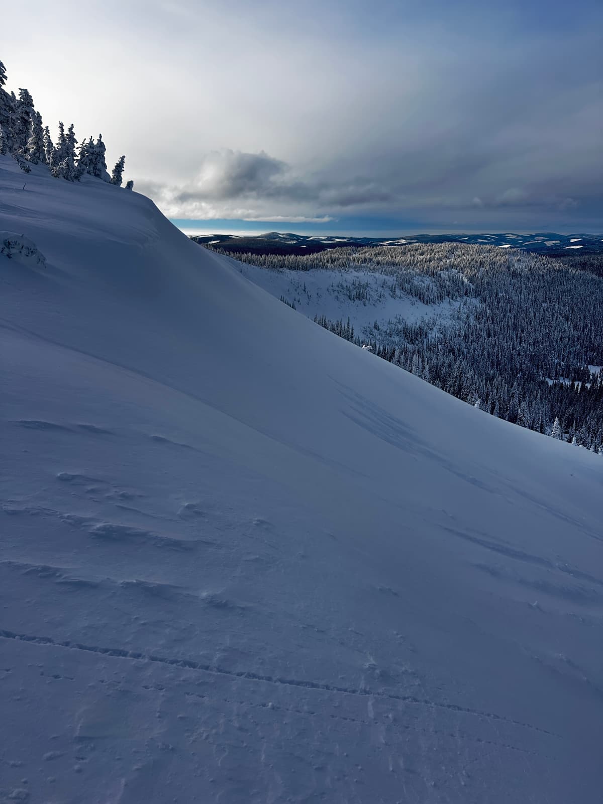 You can see where new wind slabs have covered up recent tracks, but only right in the lee just below the ride line.