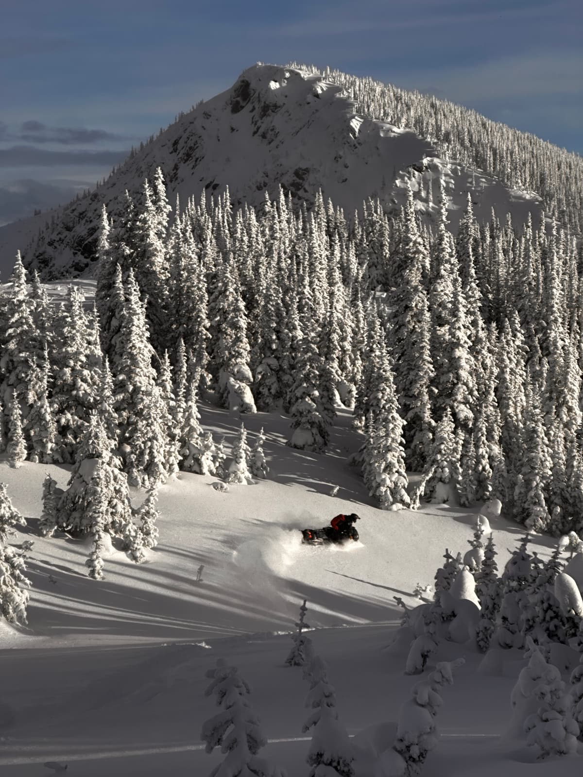 Little treeline pockets like this one held great snow for a few fun turns. 
