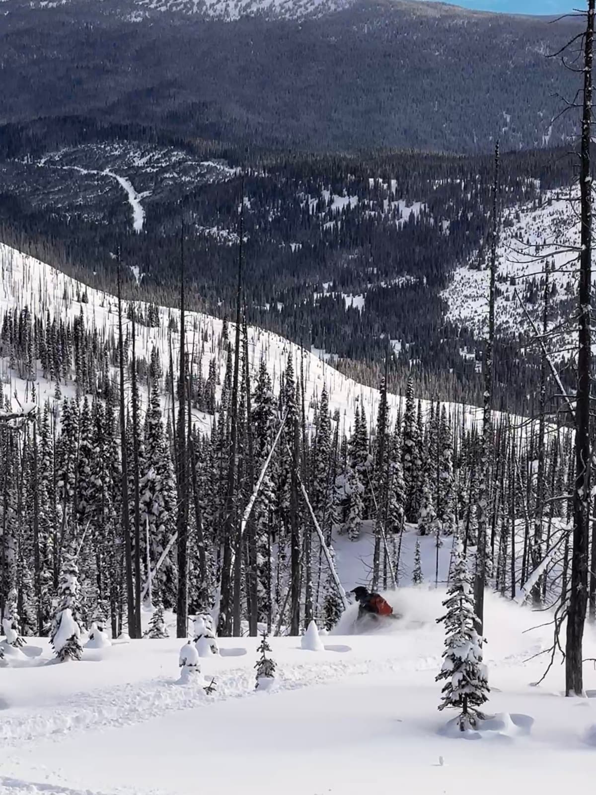 There is great riding at treeline anywhere you can get away from the old tracks and wind!